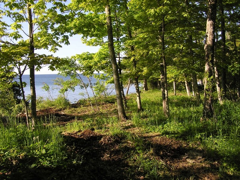 Tbd Sunrise Road Washington Island, WI 54246 - Photo 4 of 6