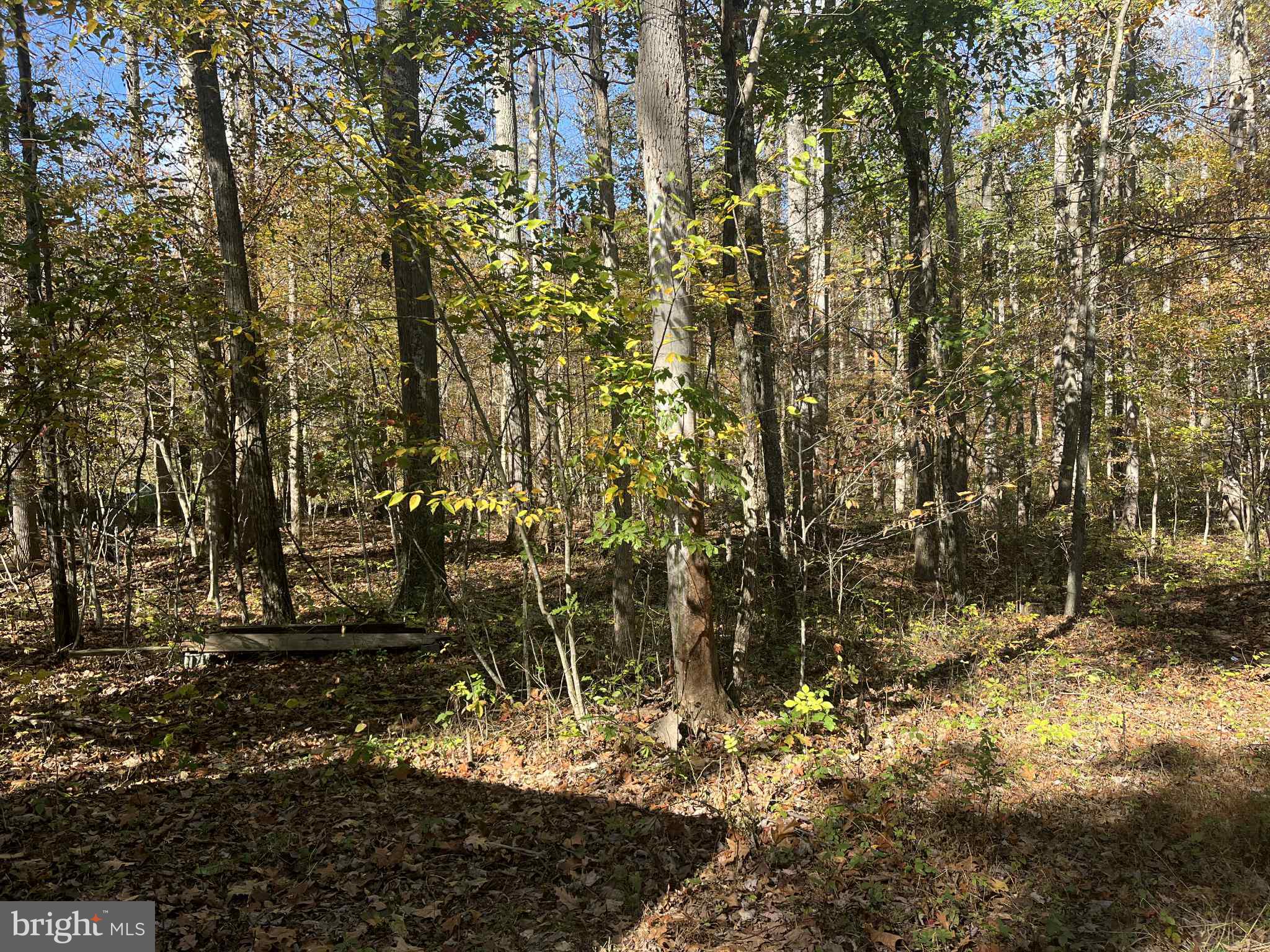 3 B Mack Road Augusta, WV 26704 - Photo 1 of 8 a view of a yard with trees