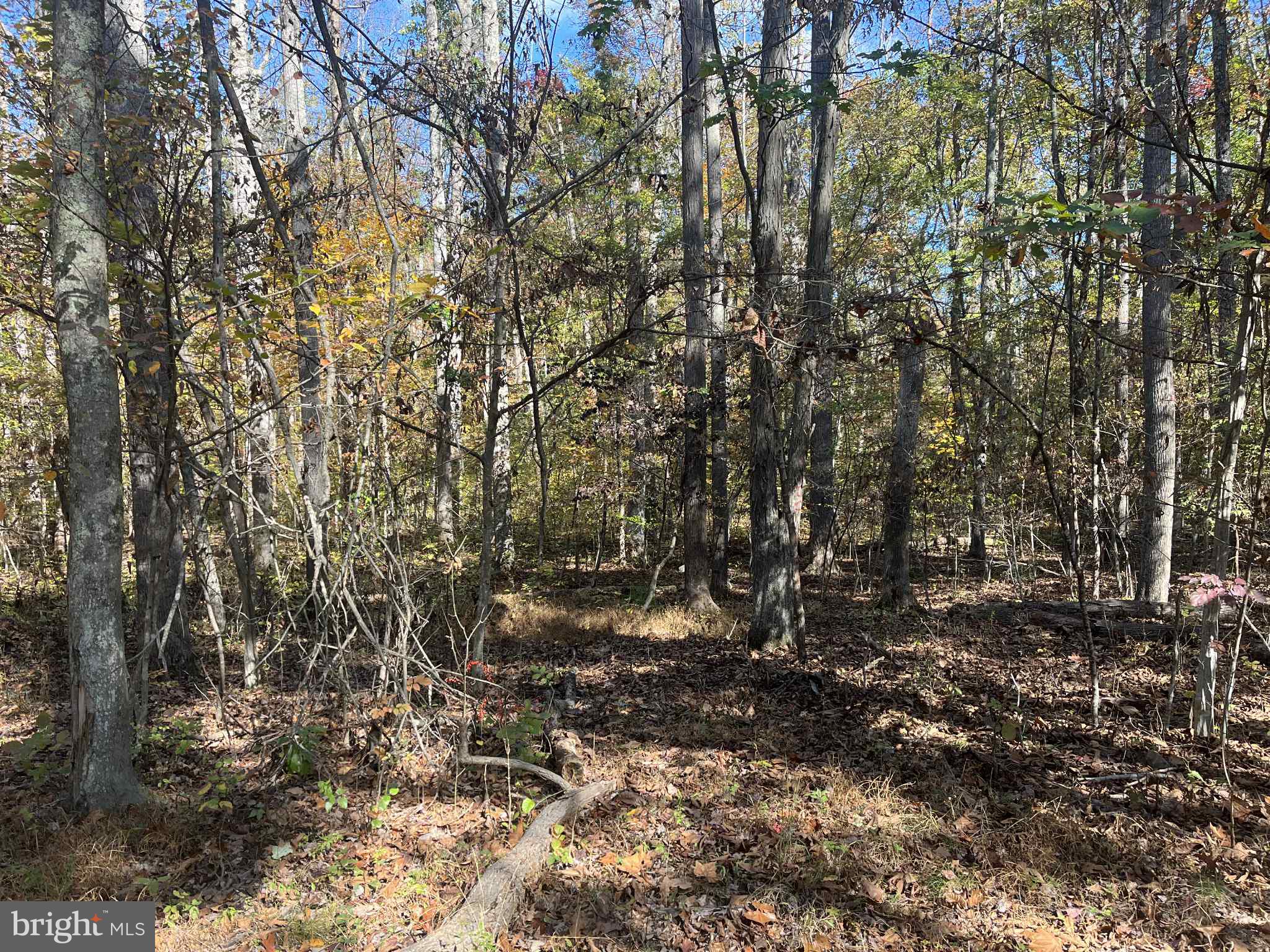 3 B Mack Road Augusta, WV 26704 - Photo 5 of 8 a view of a yard
