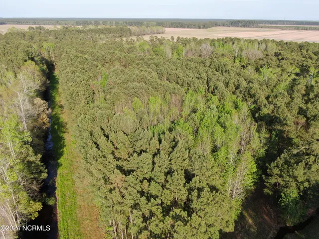 $65,000 | 0 New Road, Columbia, NC 27925