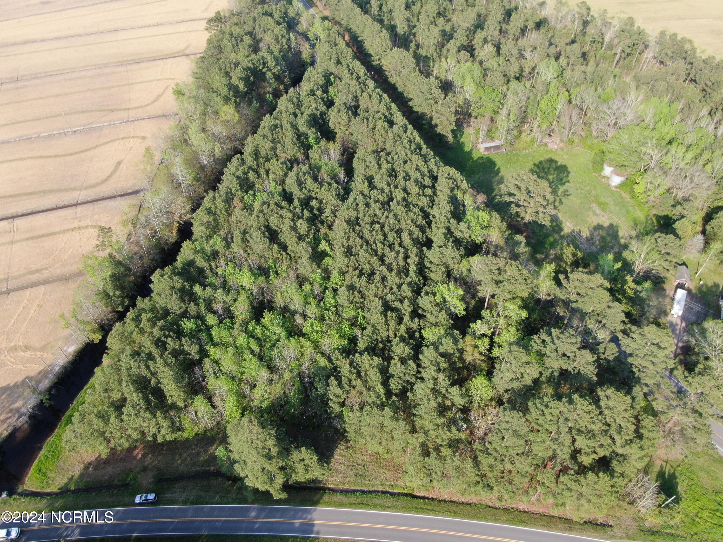 0 New Road Columbia, NC 27925 - Photo 15 of 15 IMG_0130