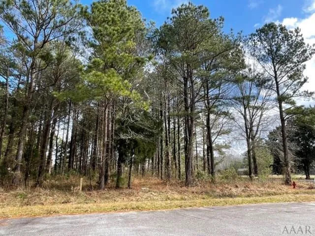 $65,000 | 0 New Road, Columbia, NC 27925