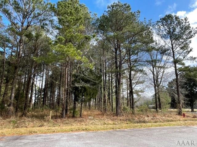 0 New Road Columbia, NC 27925 - Photo 3 of 15