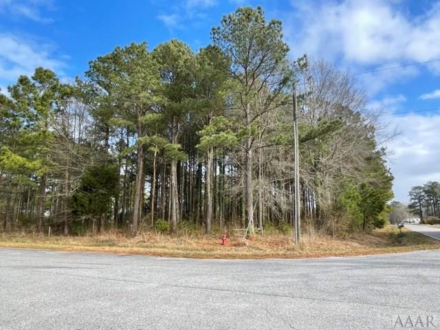 0 New Road Columbia, NC 27925 - Photo 4 of 15