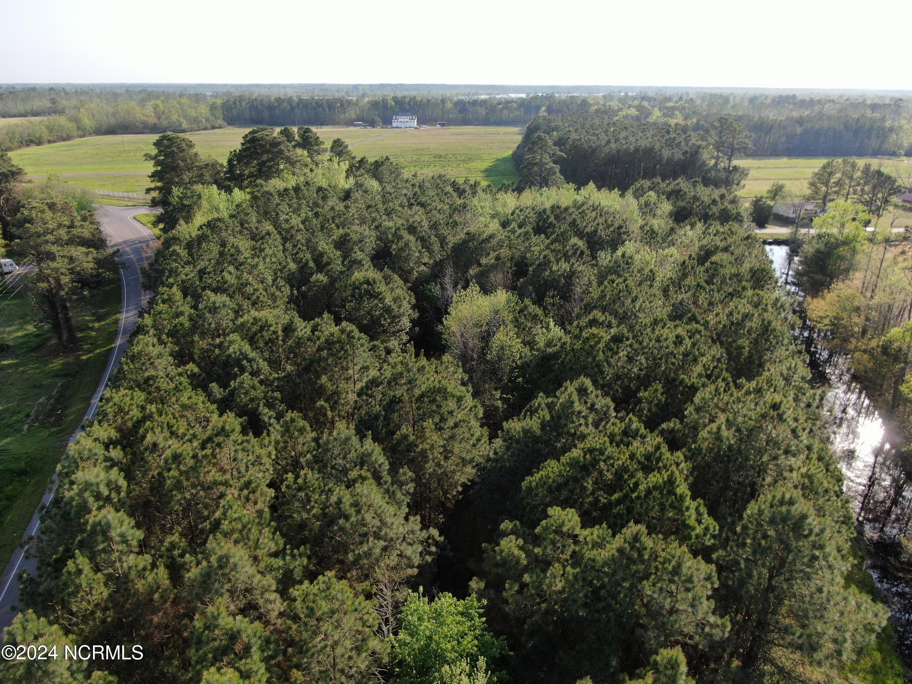 0 New Road Columbia, NC 27925 - Photo 9 of 15 IMG_0136