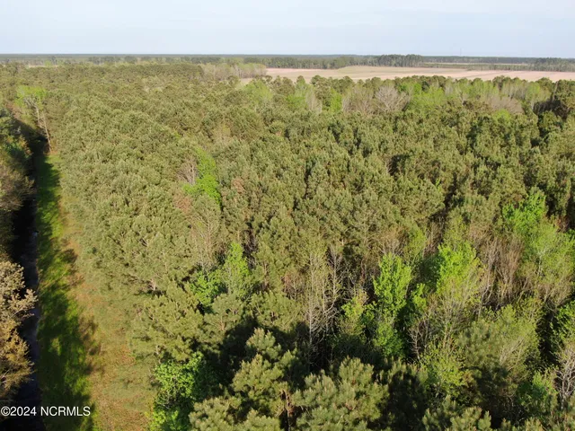 $65,000 | 0 New Road, Columbia, NC 27925