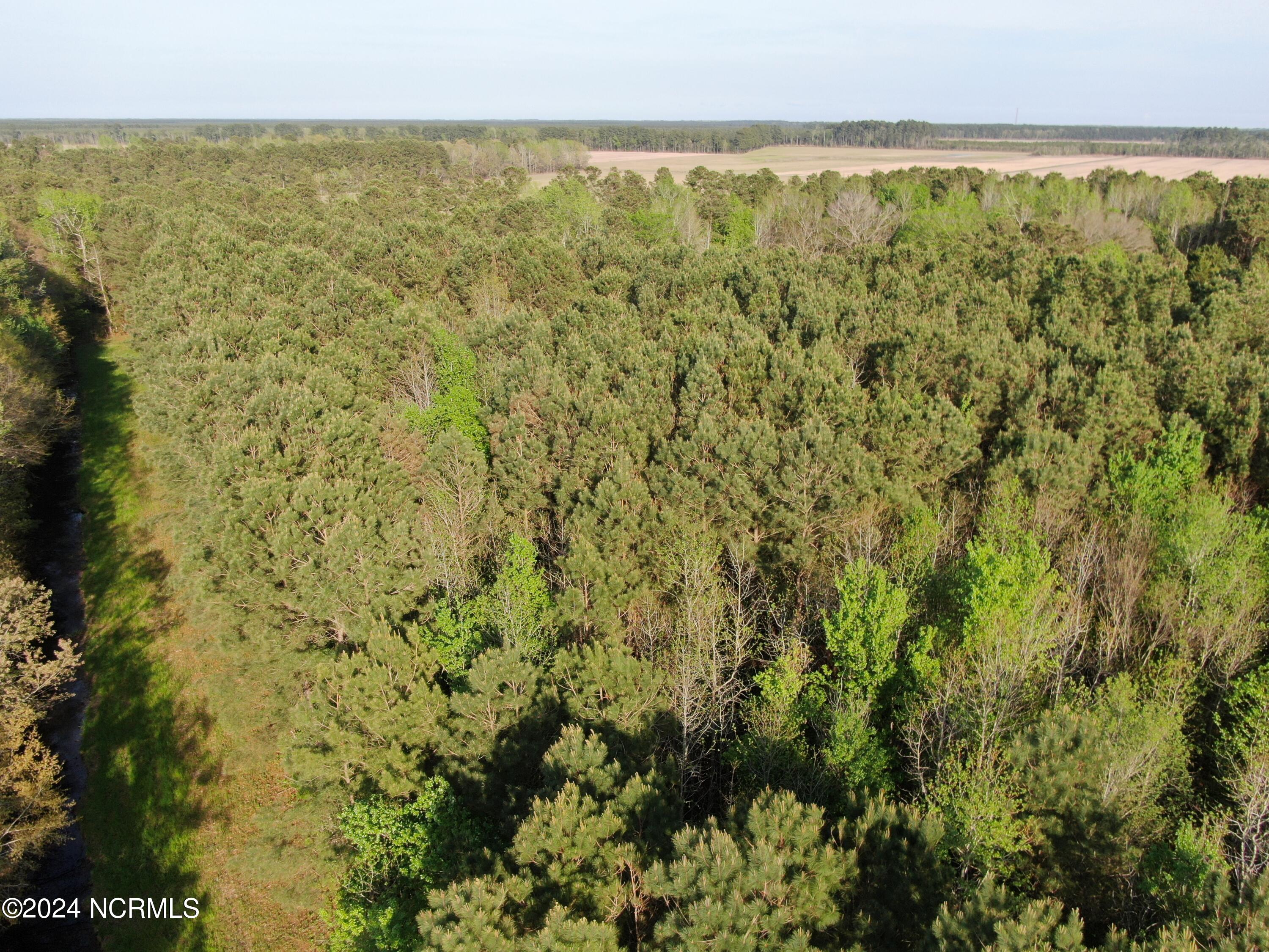 0 New Road Columbia, NC 27925 - Photo 10 of 15 IMG_0135