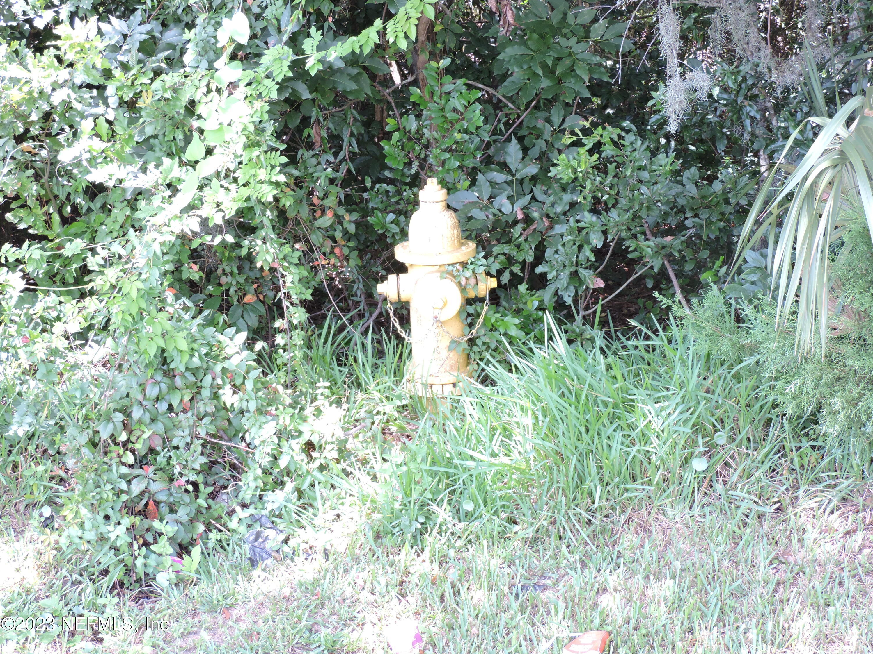 12520 Yellow Bluff Road Jacksonville, FL 32226 - Photo 20 of 29 Water at Site