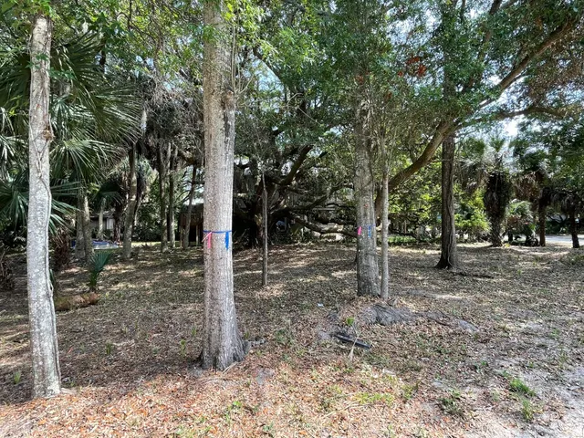 $550,000 | 3329 Palmetto Boulevard, Edisto Beach, SC 29438
