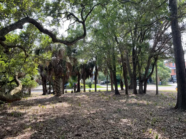 $550,000 | 3329 Palmetto Boulevard, Edisto Beach, SC 29438