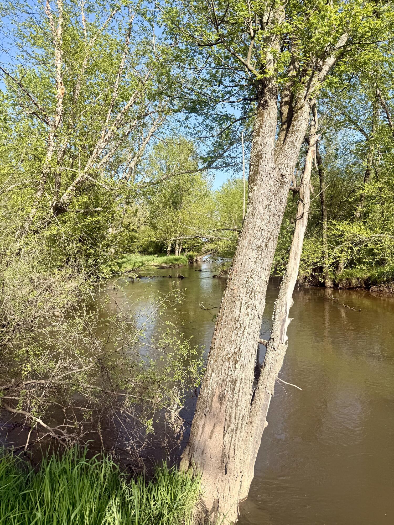 W16875 State Highway 95 Springfield, WI 54659 - Photo 15 of 22 Peaceful River View