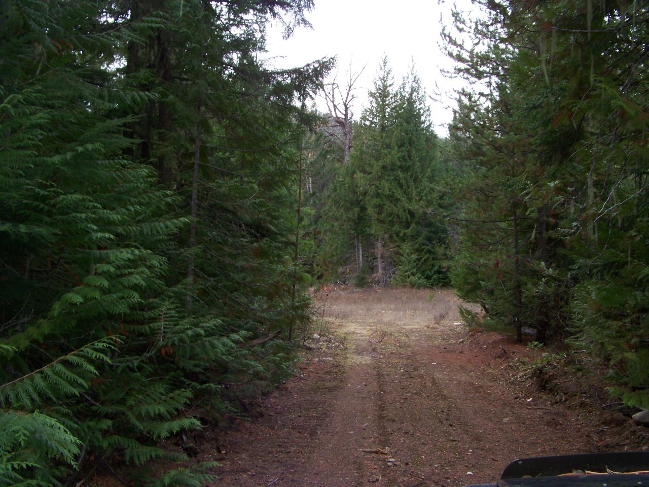 Lot 1 Greenhouse Road Ione, WA 99139 - Photo 3 of 21
