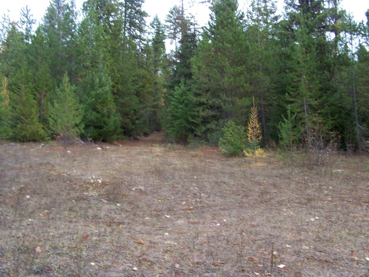 Lot 1 Greenhouse Road Ione, WA 99139 - Photo 5 of 21