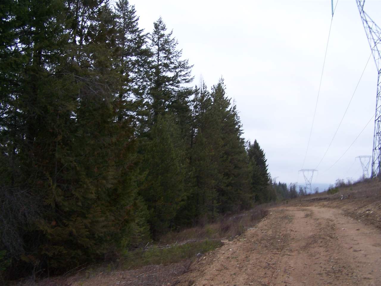 Lot 1 Greenhouse Road Ione, WA 99139 - Photo 6 of 21