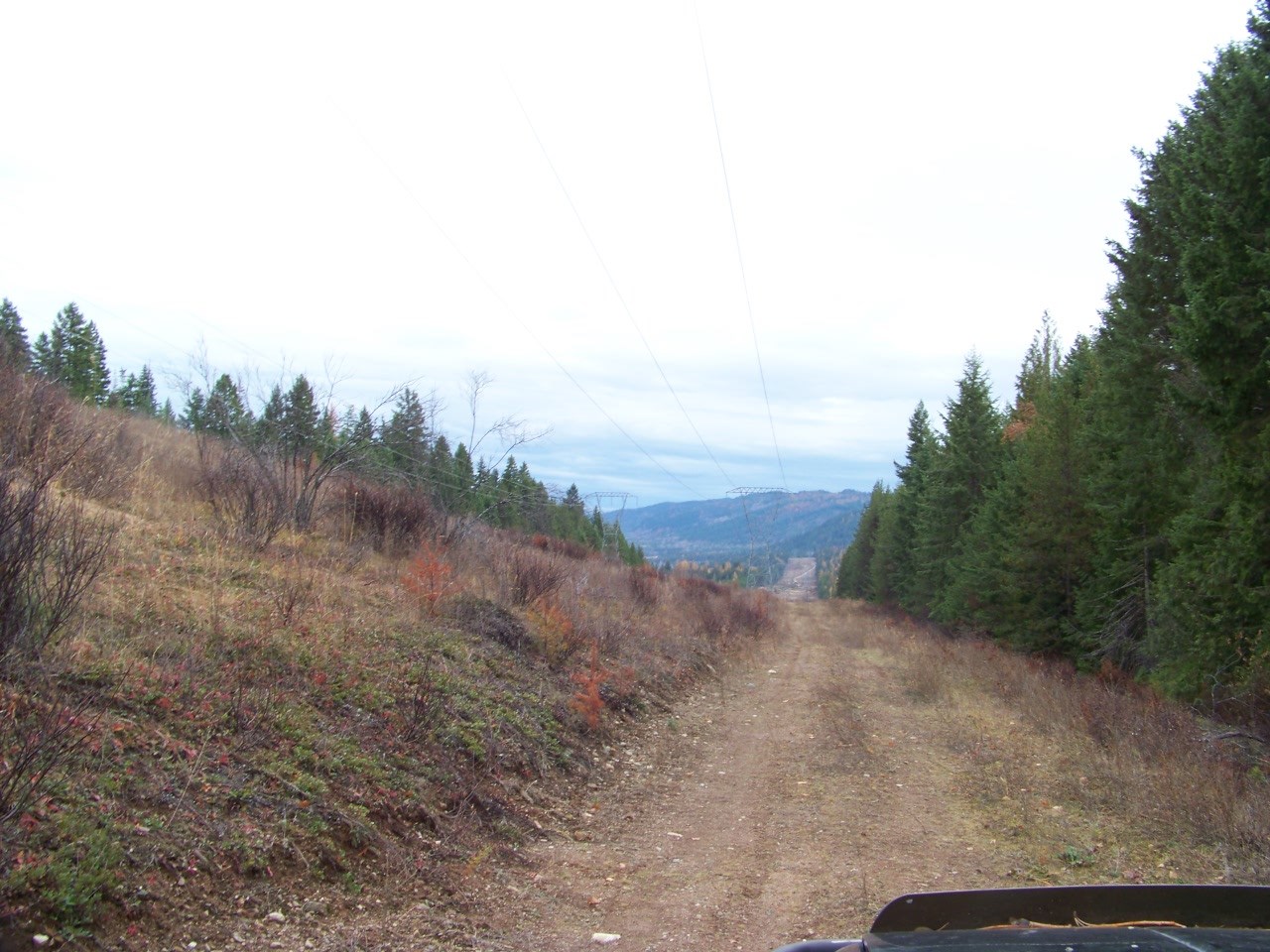 Lot 1 Greenhouse Road Ione, WA 99139 - Photo 7 of 21