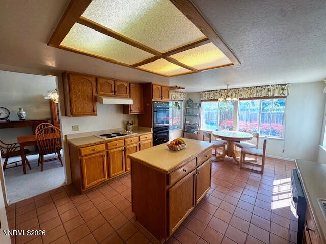 2240 Springdale Court Reno, NV 89523 - Photo 4 of 24 IMG_0130