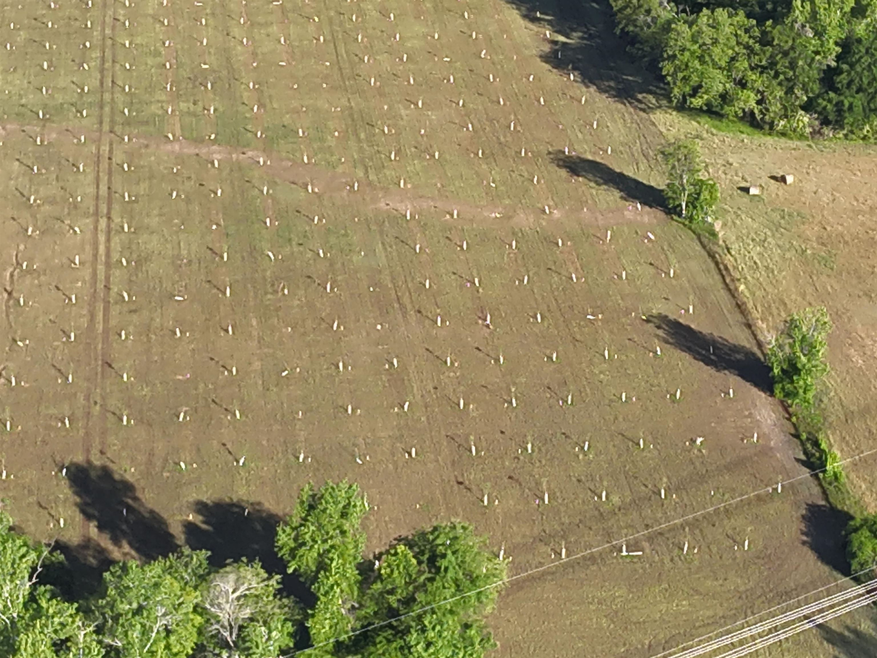 0 Arrowhead Road Dunn, NC 28334 - Photo 11 of 44 Photo 11