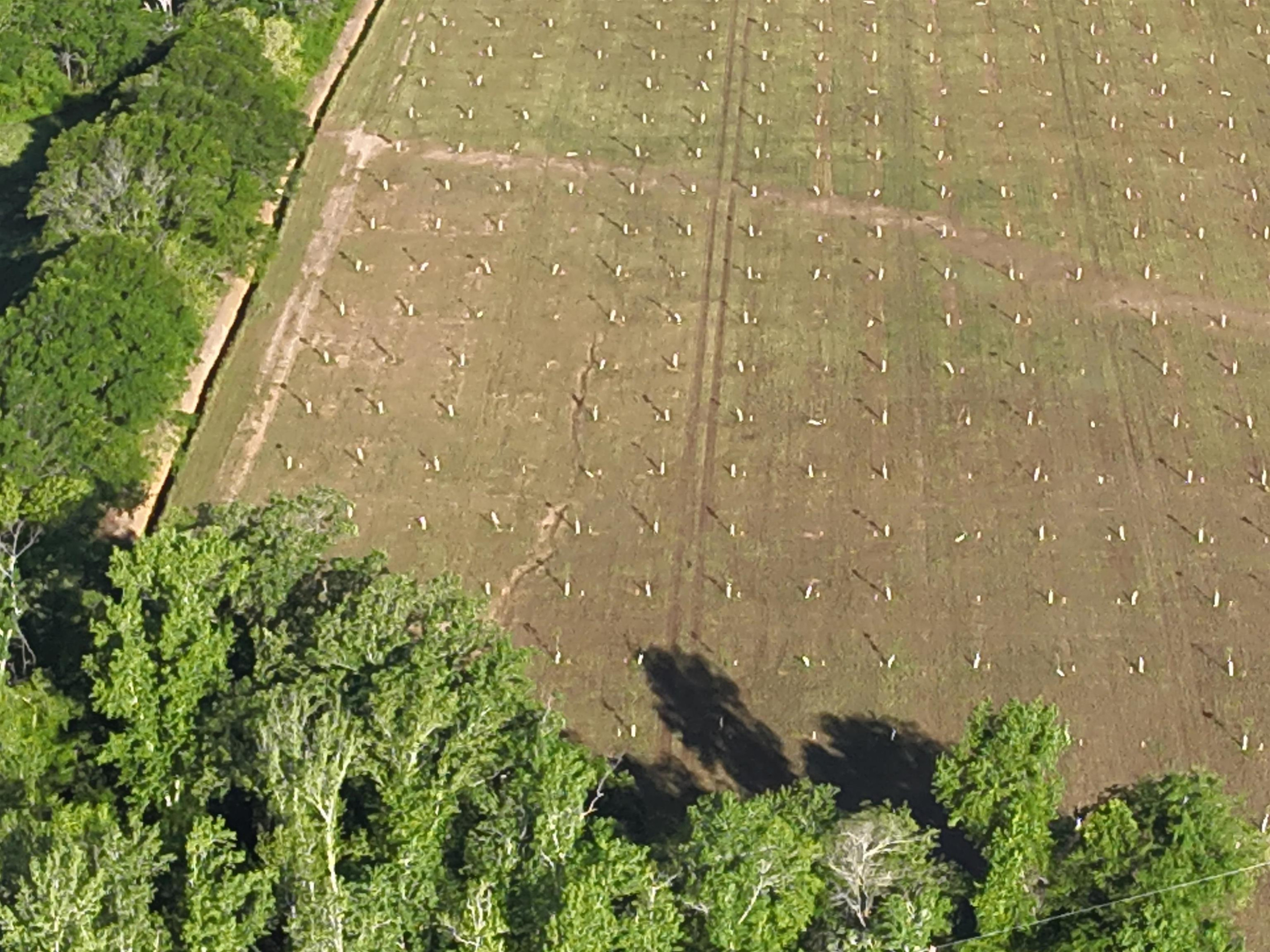 0 Arrowhead Road Dunn, NC 28334 - Photo 12 of 44 Photo 12