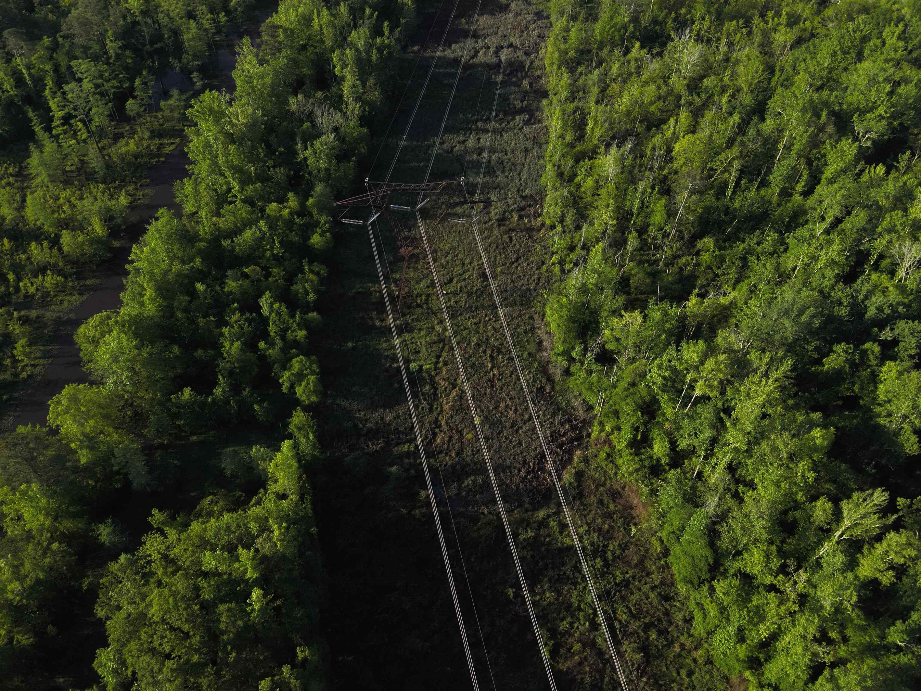 0 Arrowhead Road Dunn, NC 28334 - Photo 14 of 44 Photo 14