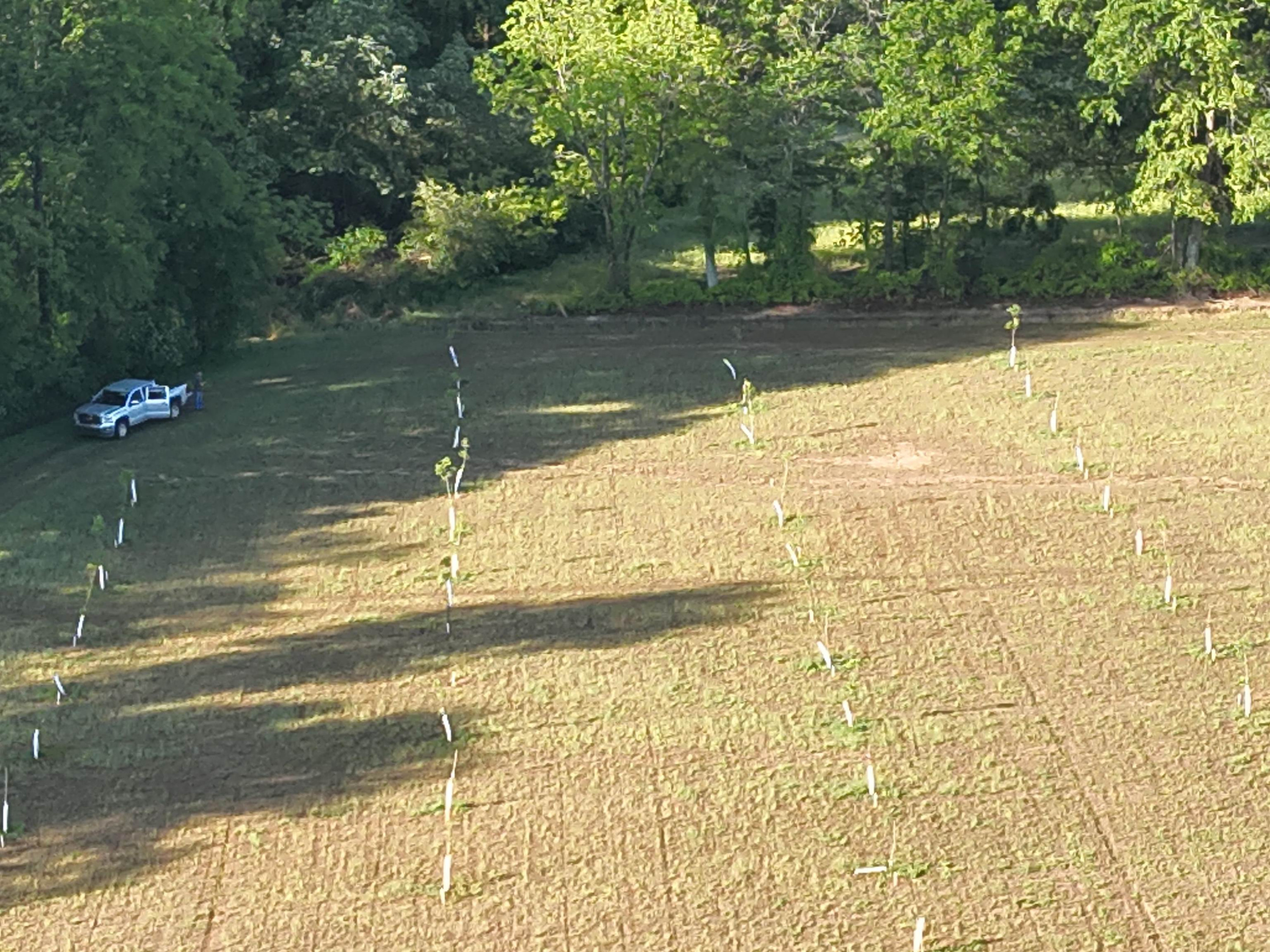 0 Arrowhead Road Dunn, NC 28334 - Photo 15 of 44 Photo 15