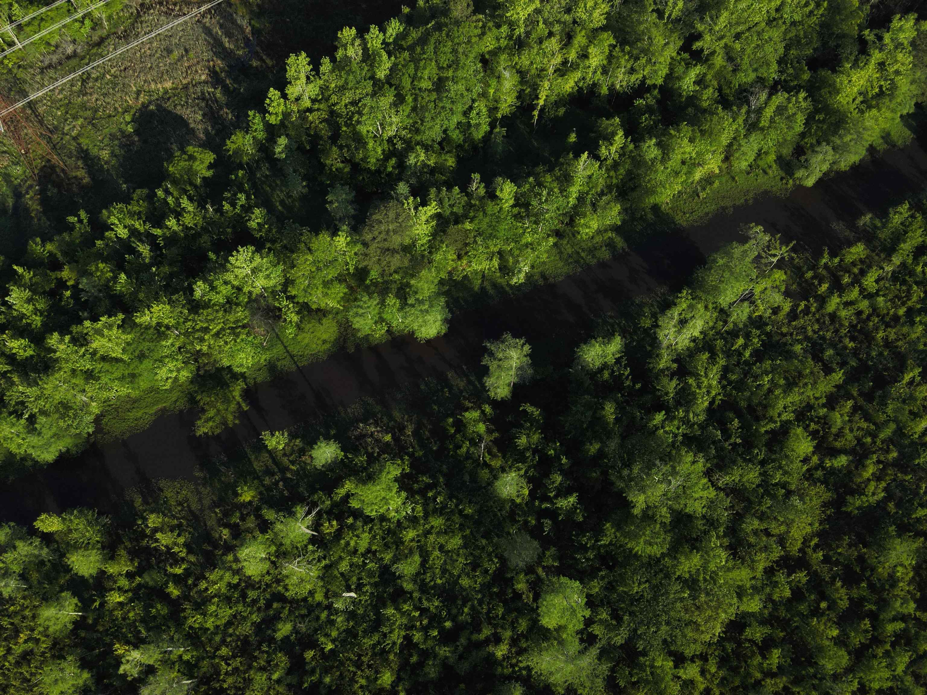 0 Arrowhead Road Dunn, NC 28334 - Photo 16 of 44 Photo 16