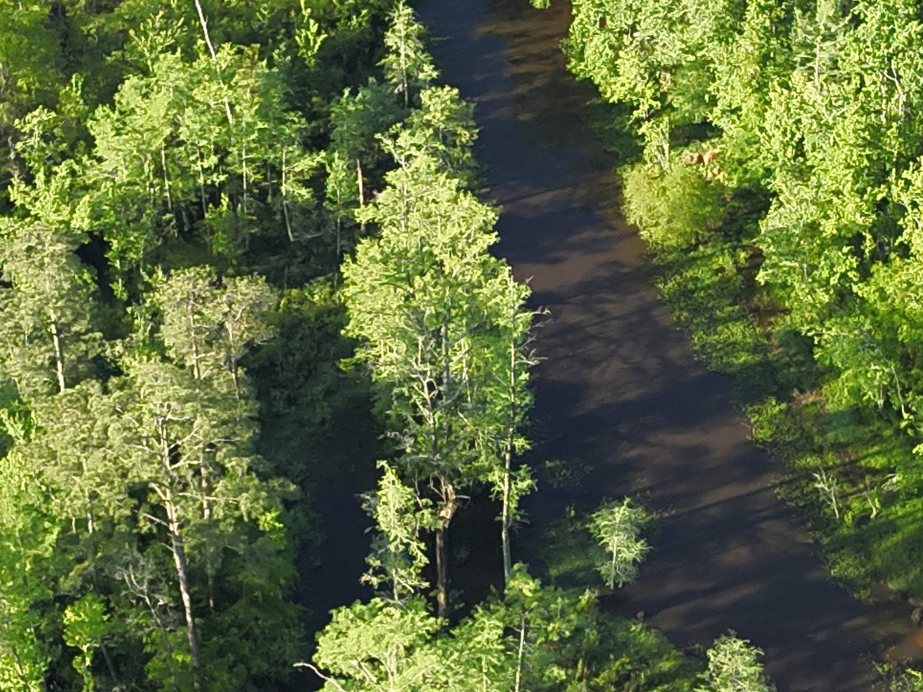 0 Arrowhead Road Dunn, NC 28334 - Photo 19 of 44 Photo 19