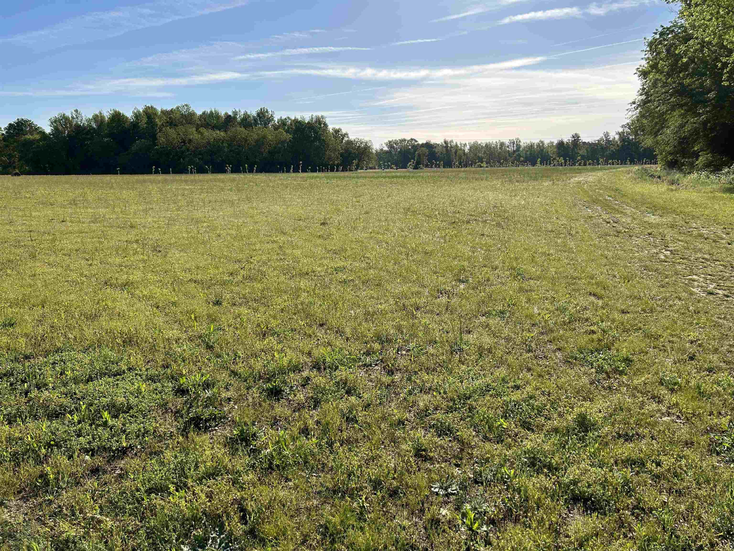 0 Arrowhead Road Dunn, NC 28334 - Photo 23 of 44 Photo 23