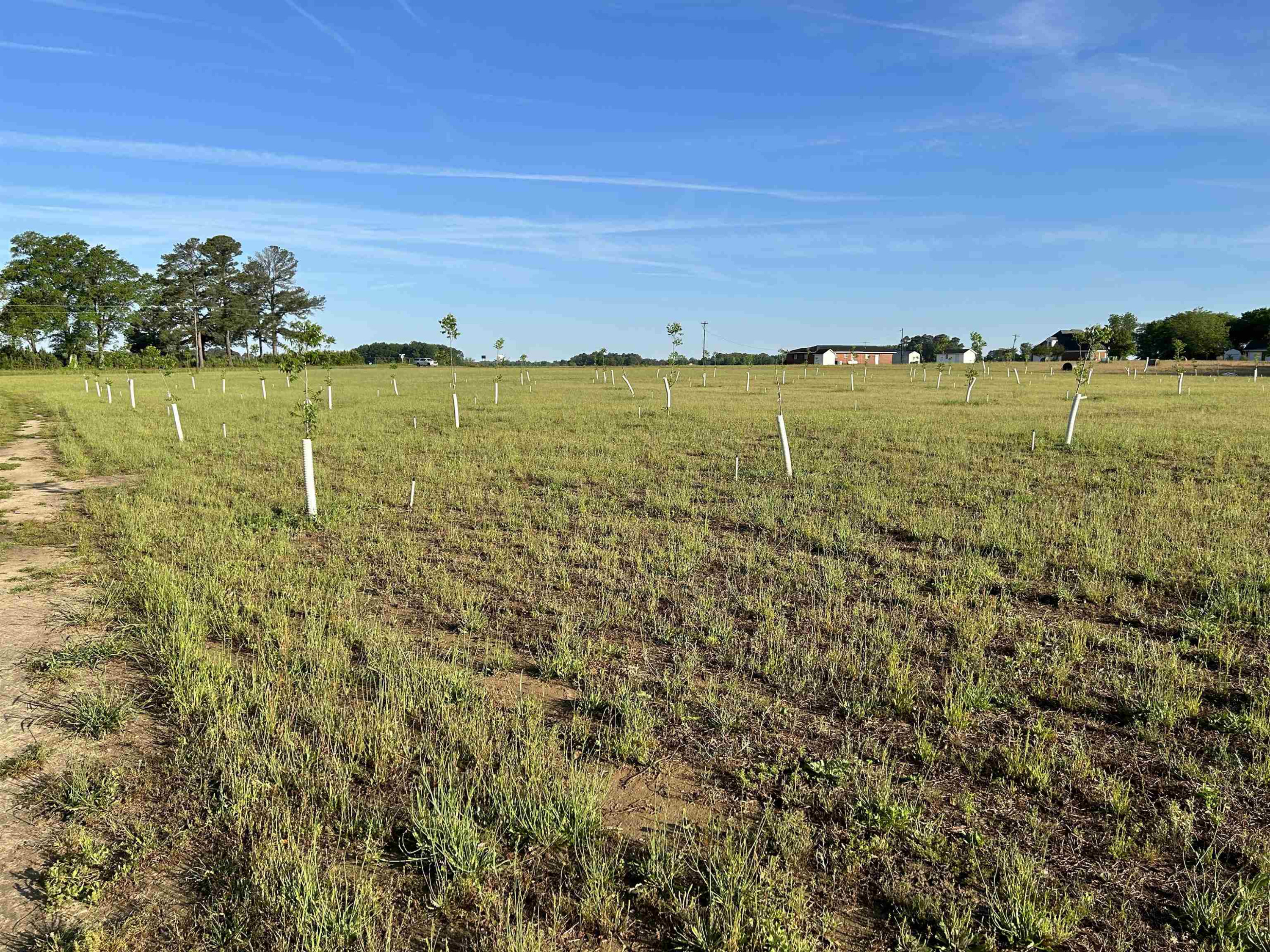 0 Arrowhead Road Dunn, NC 28334 - Photo 24 of 44 Photo 24