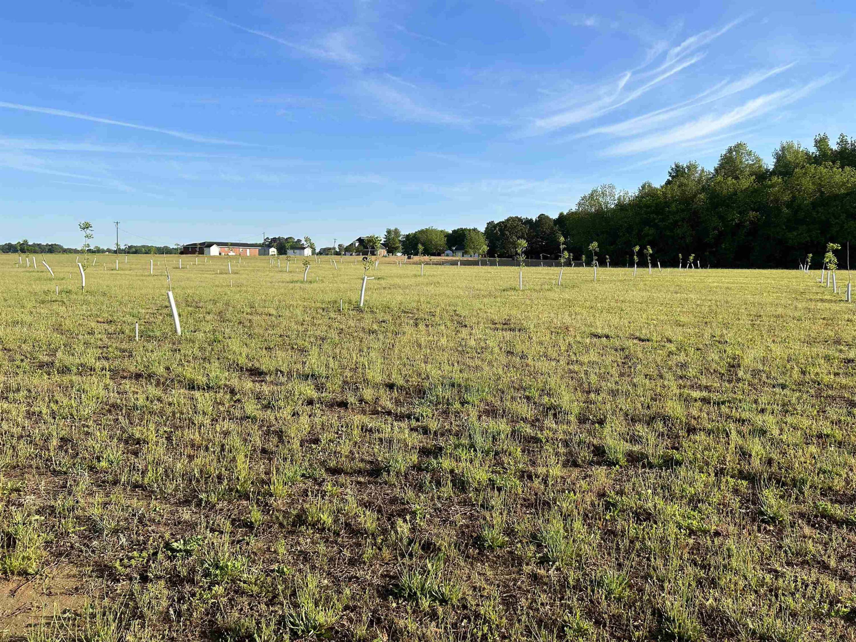 0 Arrowhead Road Dunn, NC 28334 - Photo 25 of 44 Photo 25