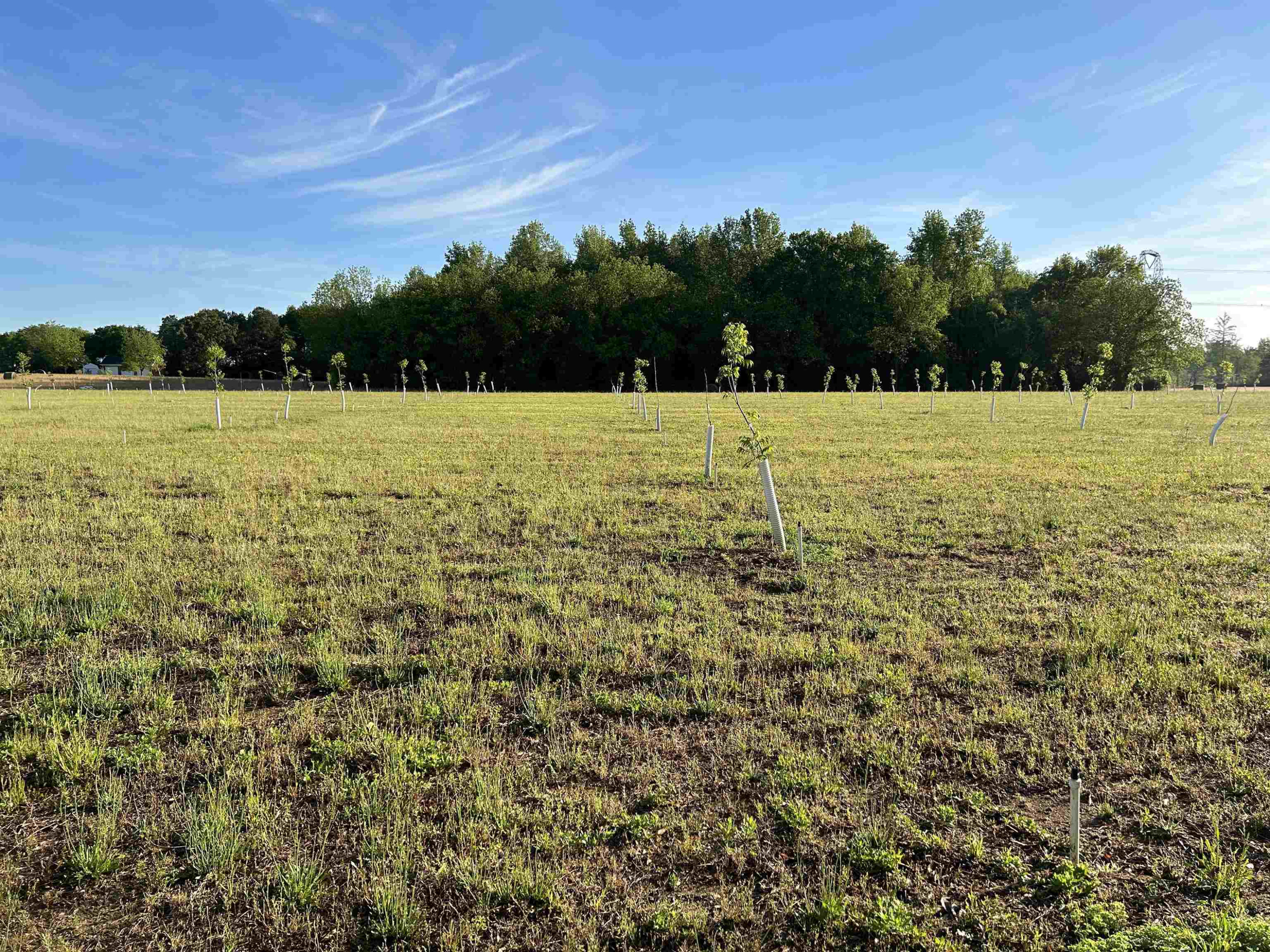 0 Arrowhead Road Dunn, NC 28334 - Photo 26 of 44 Photo 26