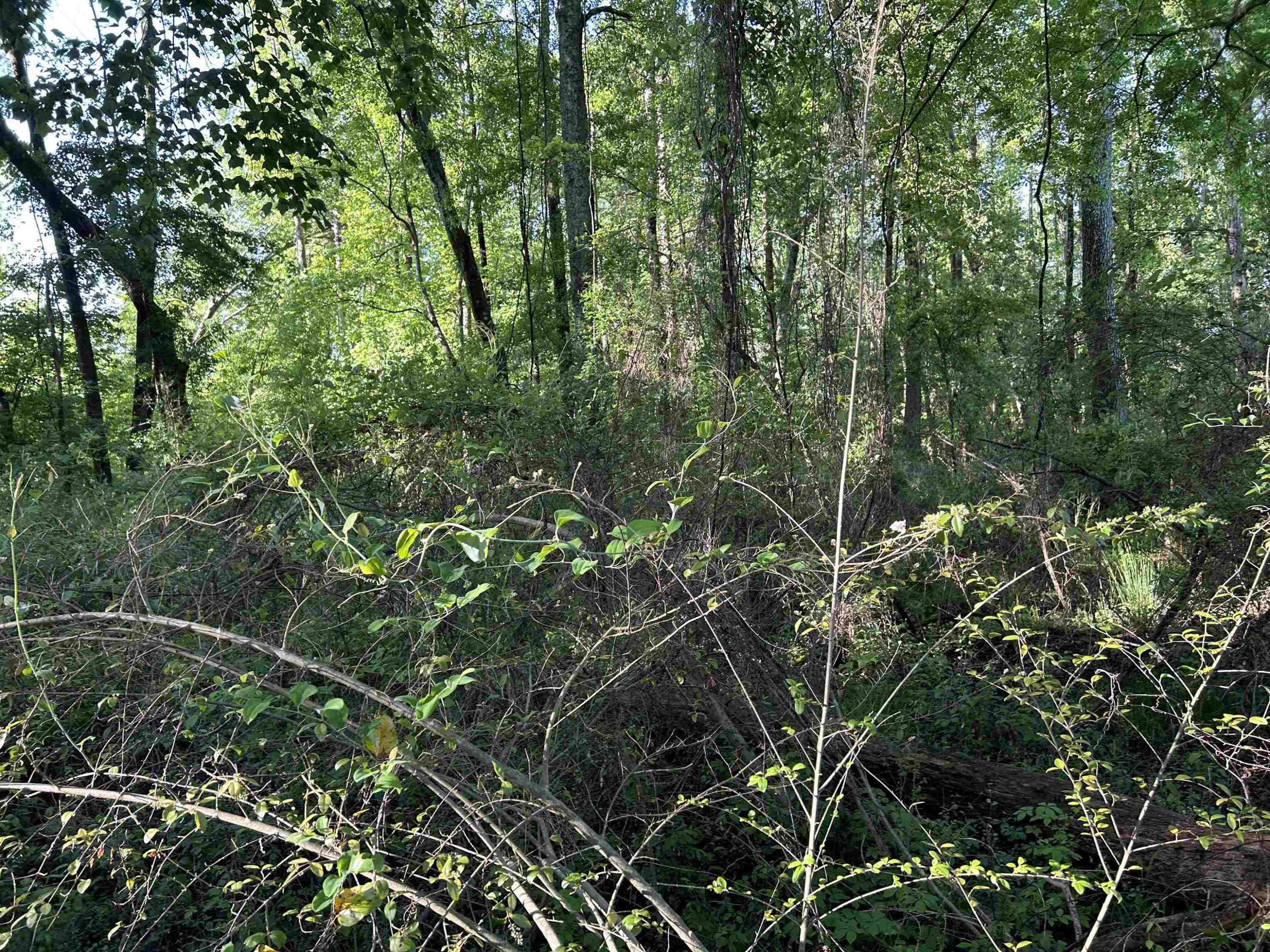 0 Arrowhead Road Dunn, NC 28334 - Photo 30 of 44 Photo 30