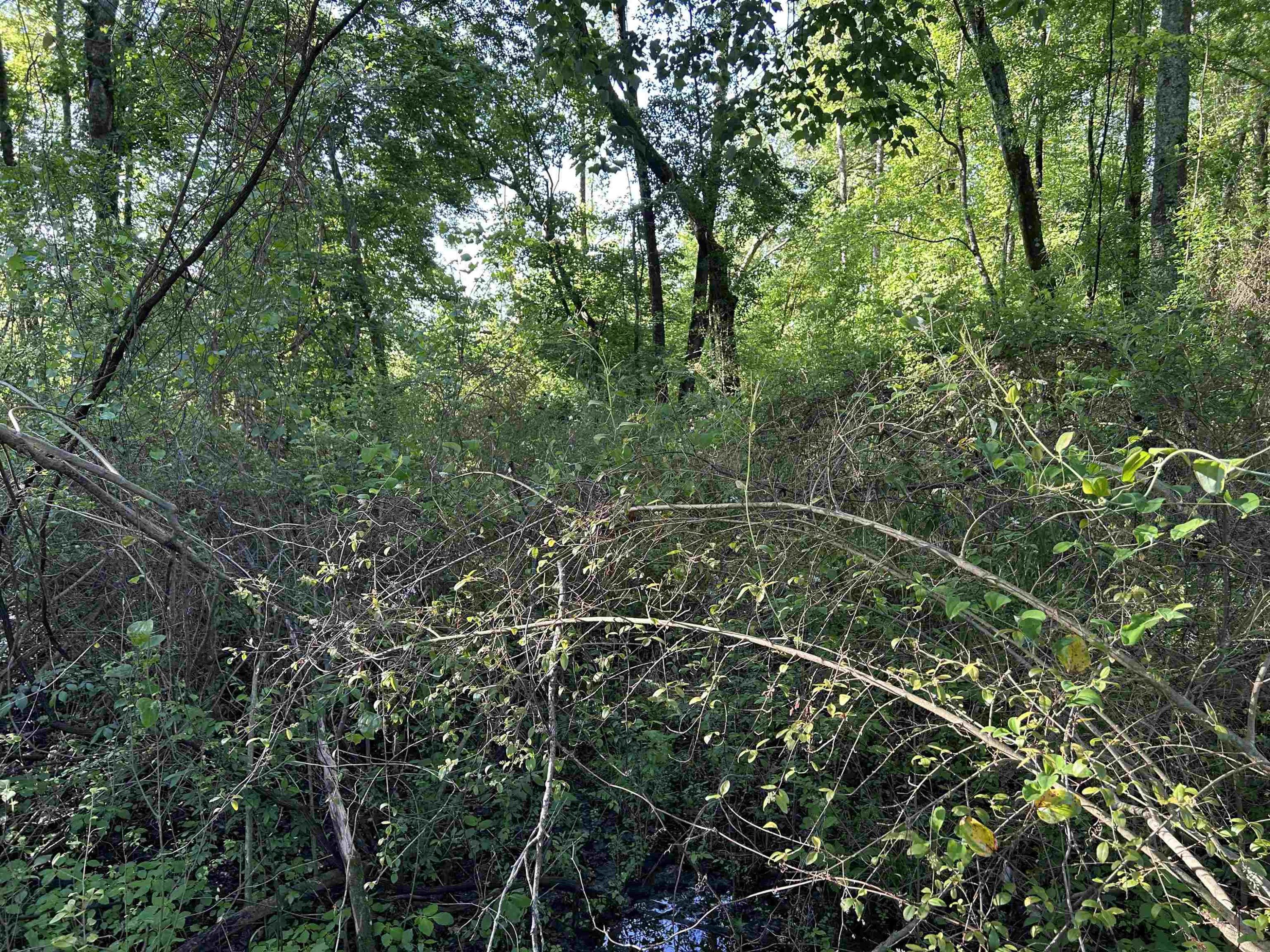 0 Arrowhead Road Dunn, NC 28334 - Photo 31 of 44 Photo 31