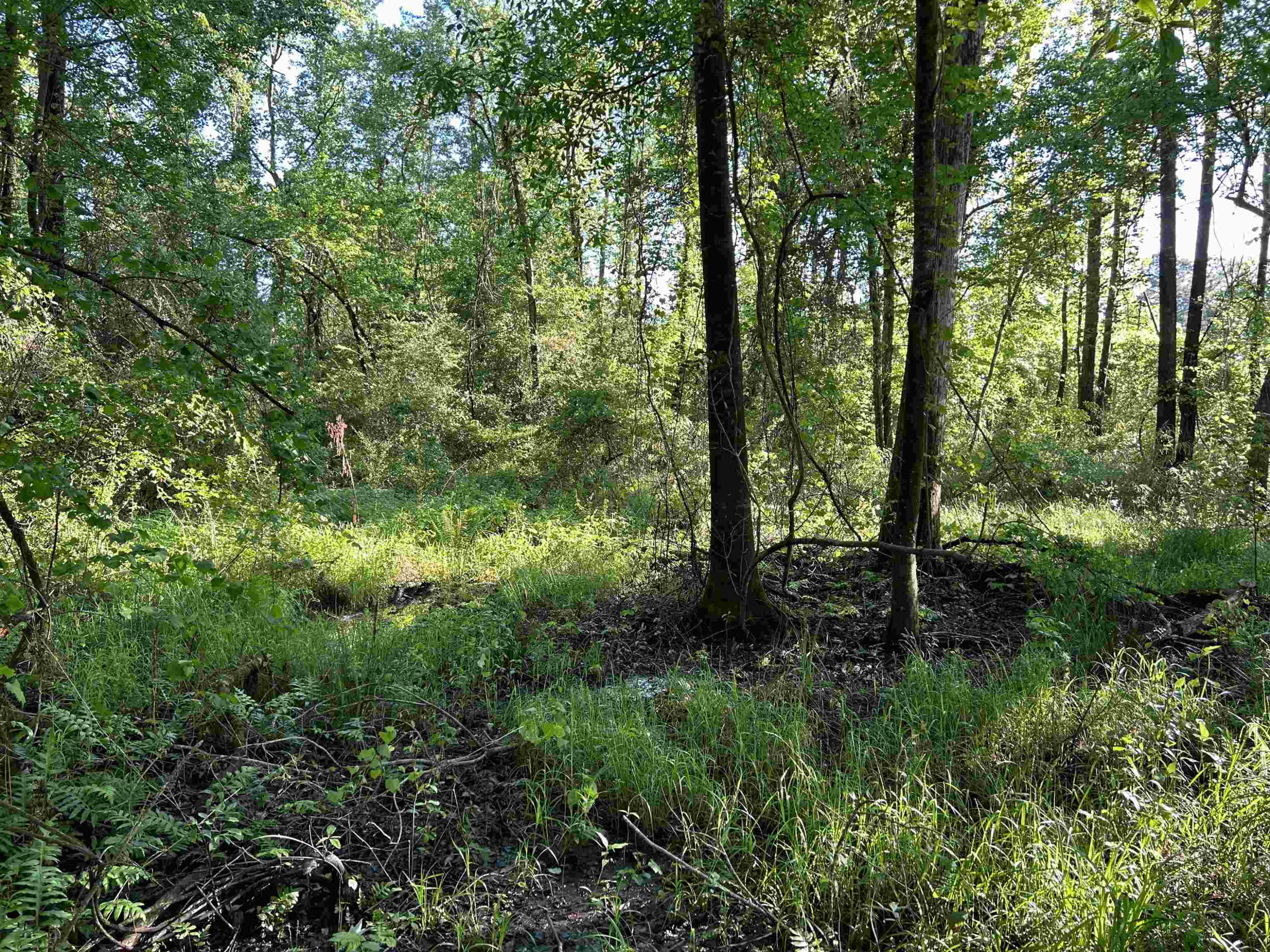 0 Arrowhead Road Dunn, NC 28334 - Photo 32 of 44 Photo 32