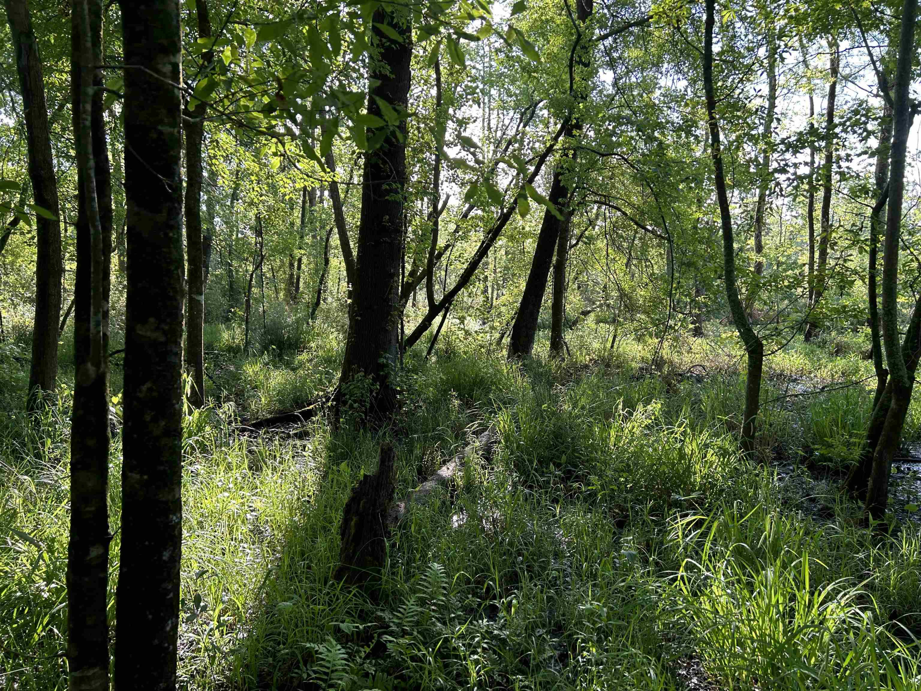 0 Arrowhead Road Dunn, NC 28334 - Photo 33 of 44 Photo 33