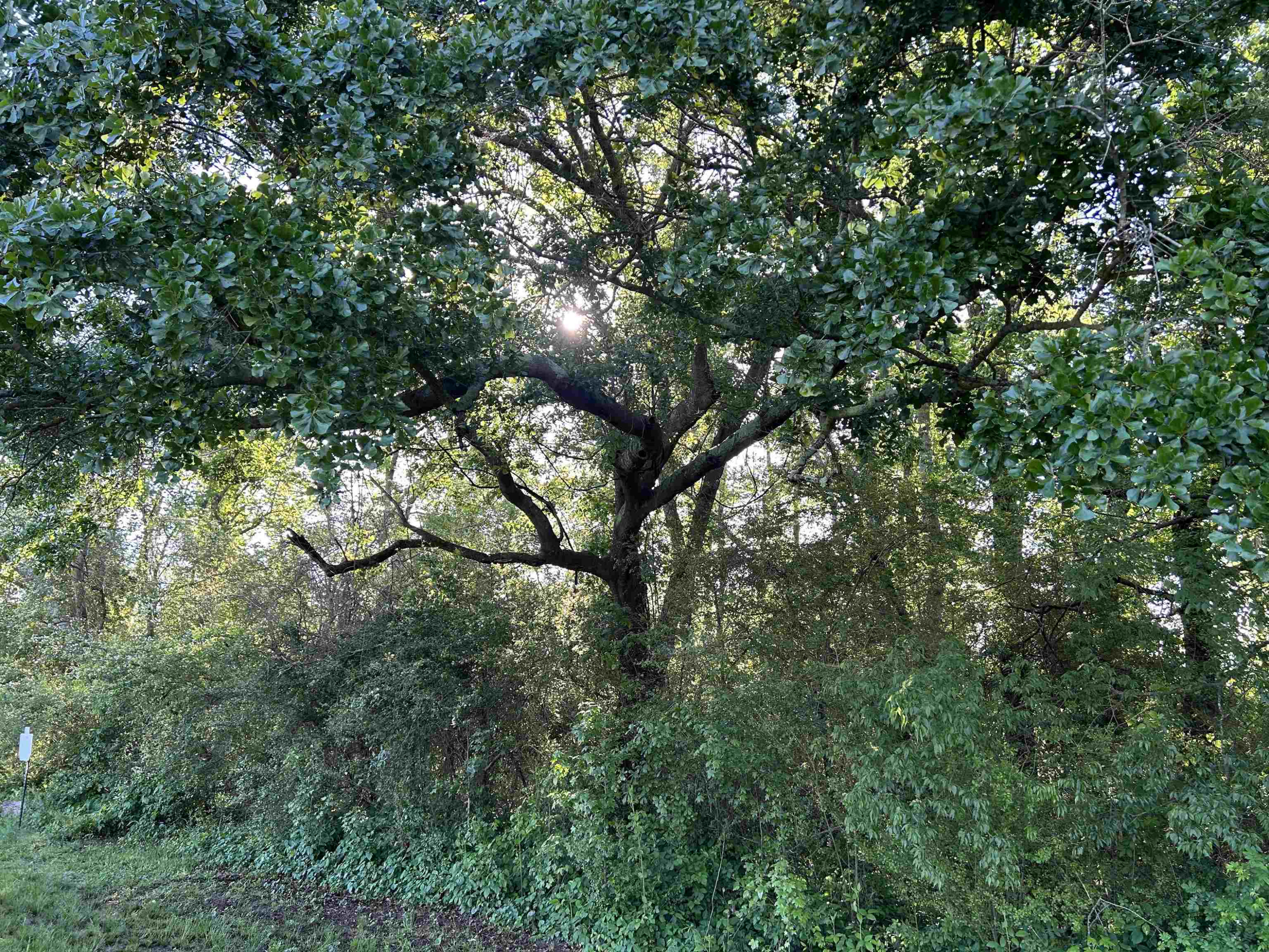 0 Arrowhead Road Dunn, NC 28334 - Photo 37 of 44 Photo 37