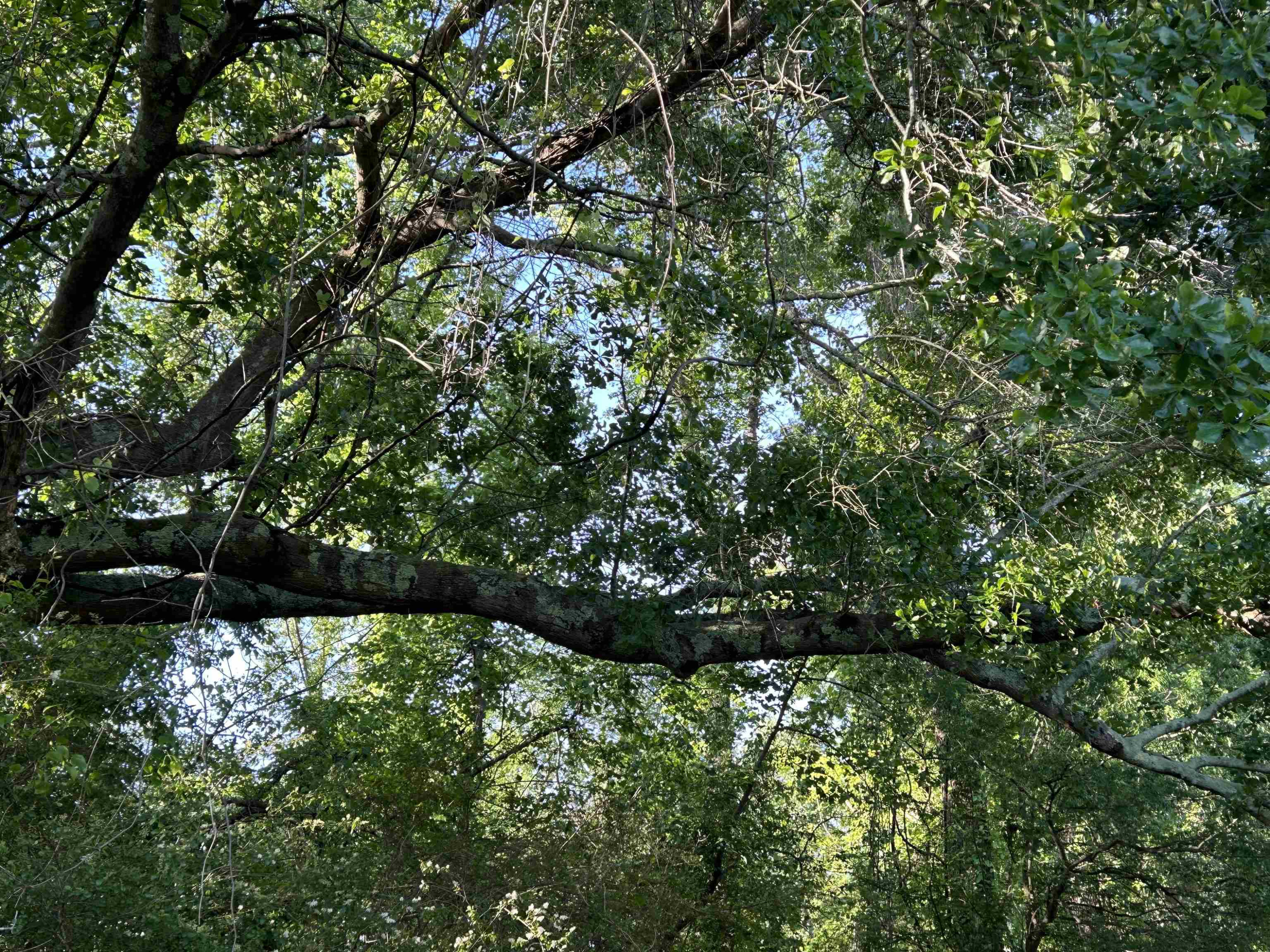 0 Arrowhead Road Dunn, NC 28334 - Photo 38 of 44 Photo 38