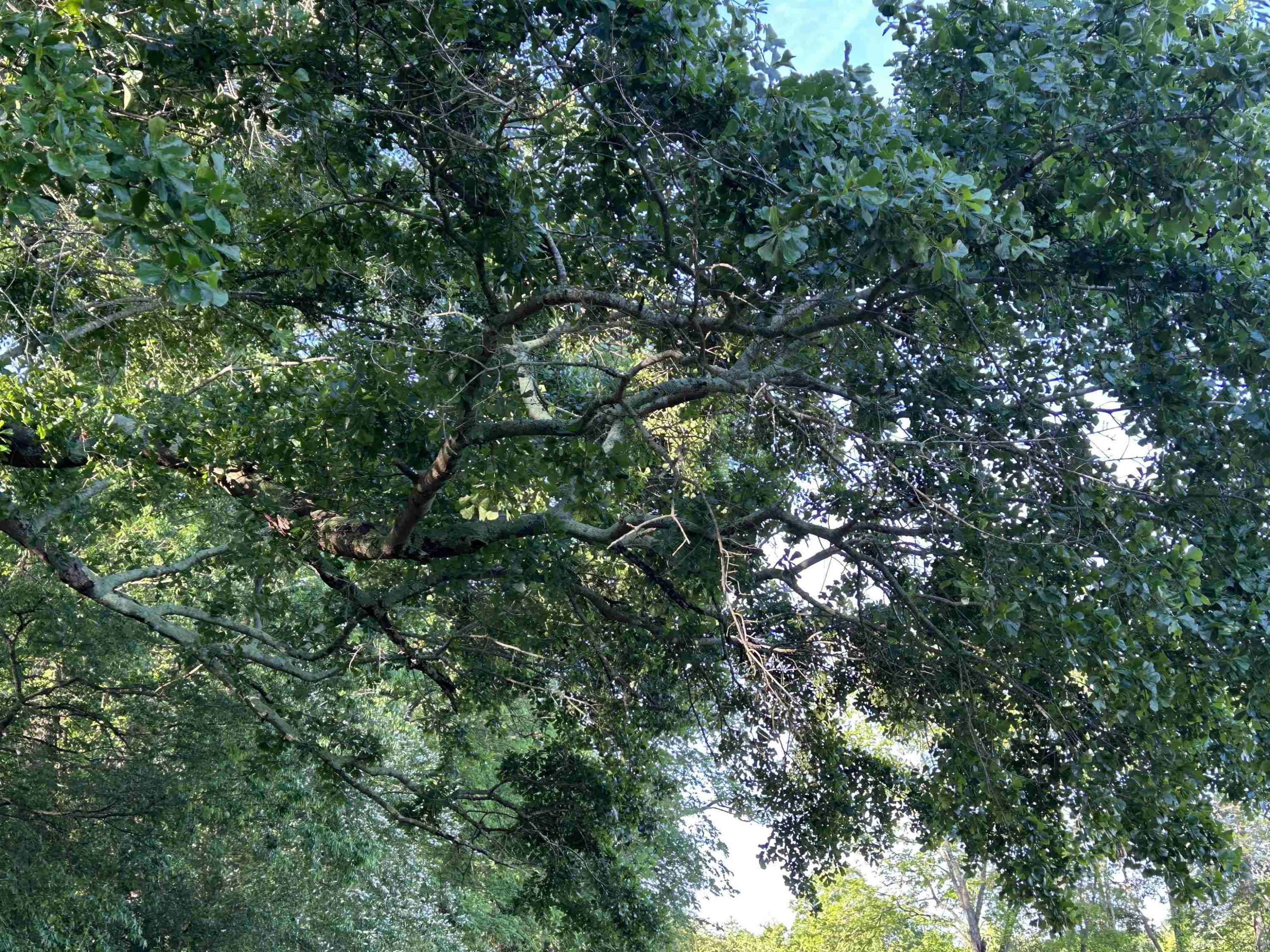 0 Arrowhead Road Dunn, NC 28334 - Photo 39 of 44 Photo 39