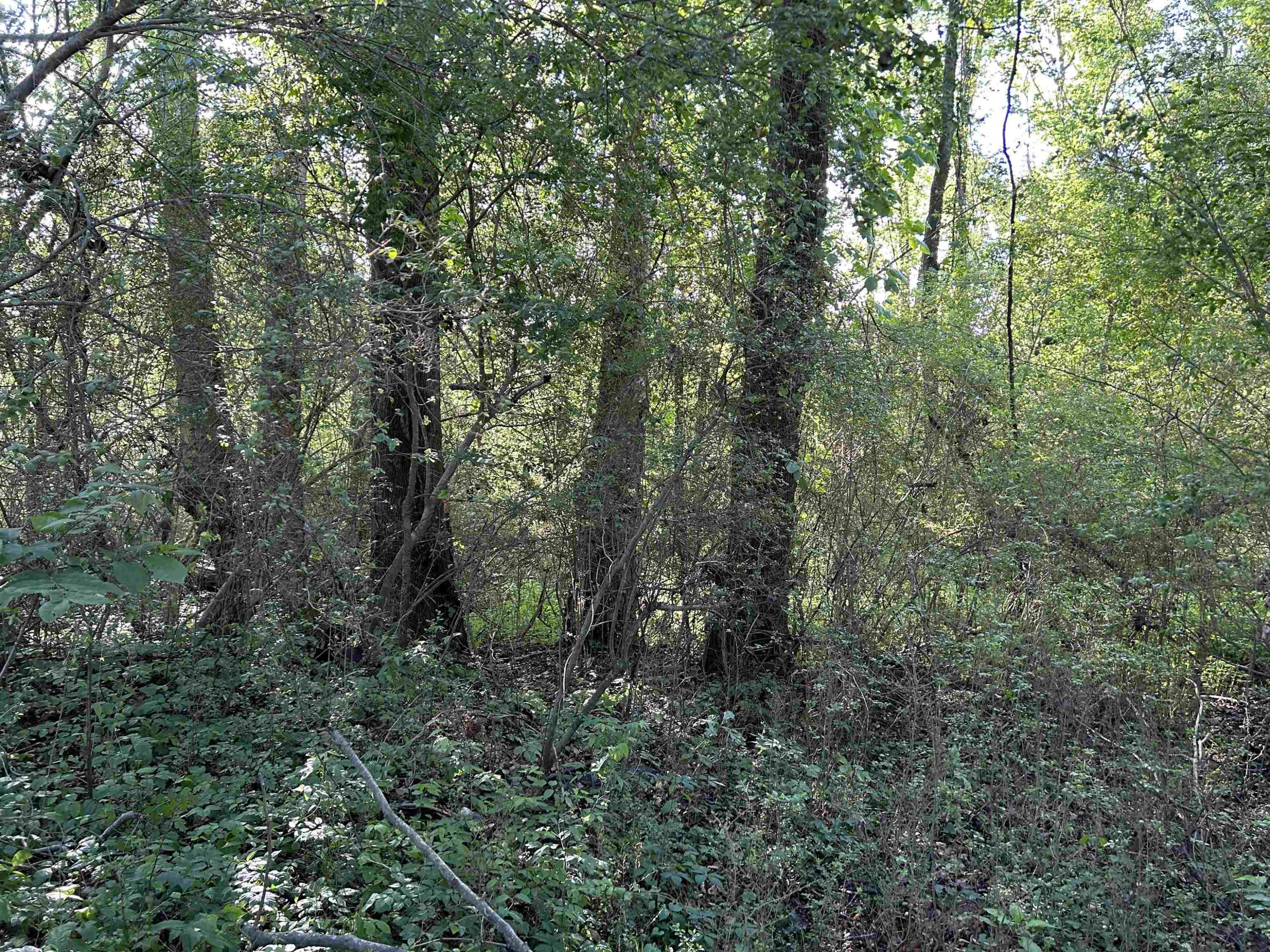 0 Arrowhead Road Dunn, NC 28334 - Photo 40 of 44 Photo 40