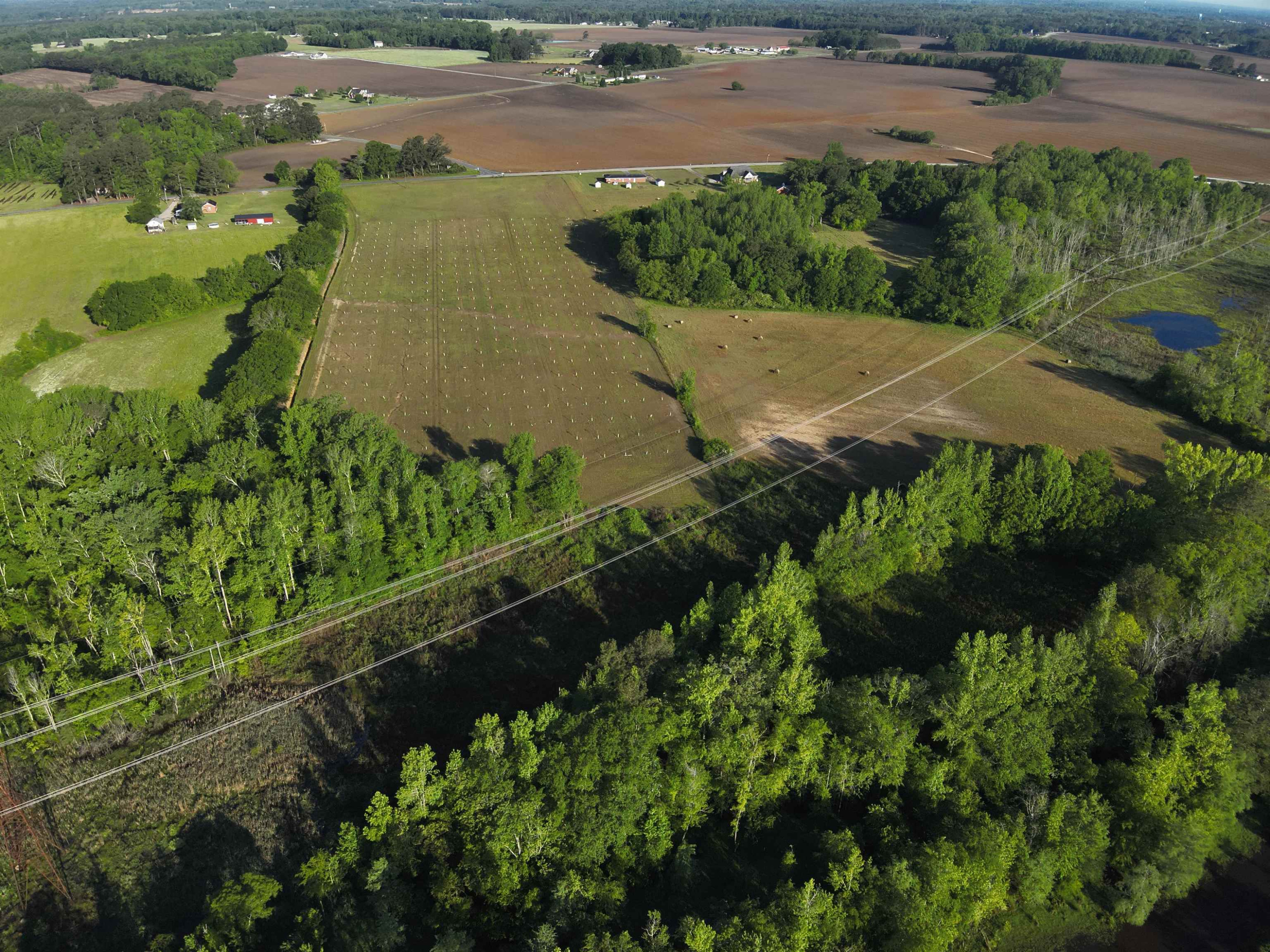 0 Arrowhead Road Dunn, NC 28334 - Photo 4 of 44 Photo 4