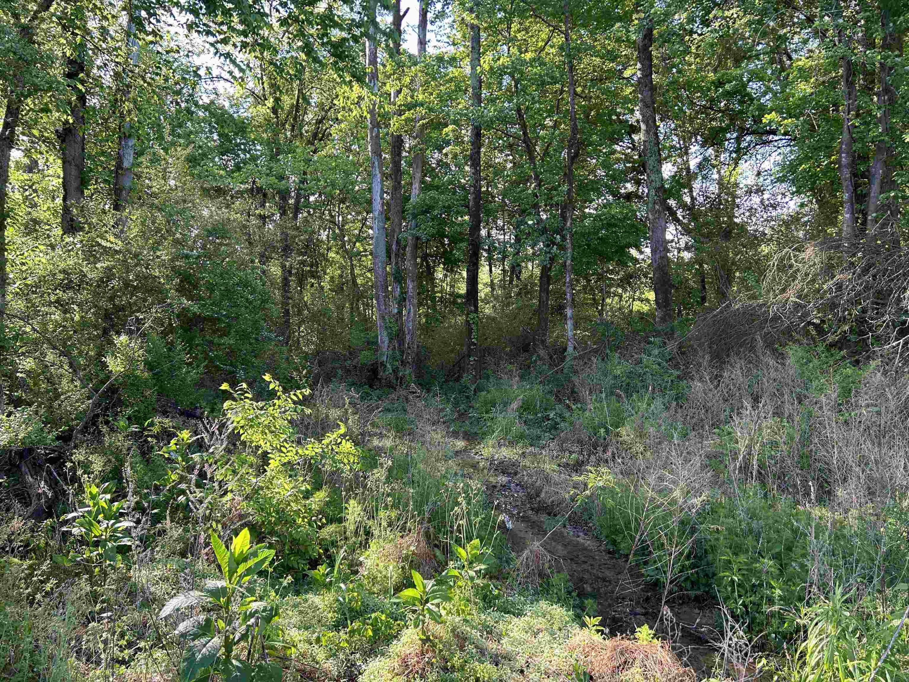 0 Arrowhead Road Dunn, NC 28334 - Photo 41 of 44 Photo 41