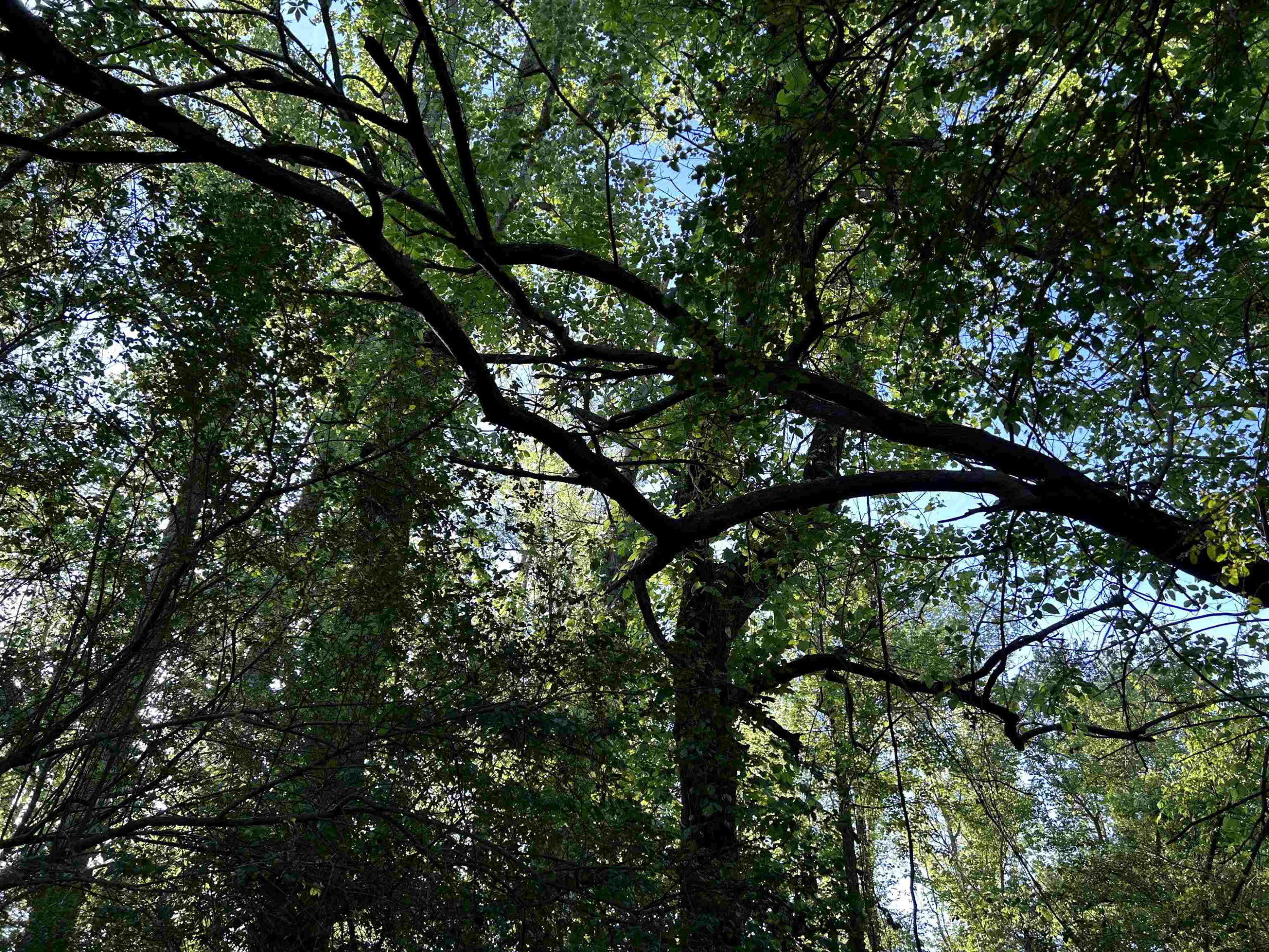 0 Arrowhead Road Dunn, NC 28334 - Photo 42 of 44 Photo 42