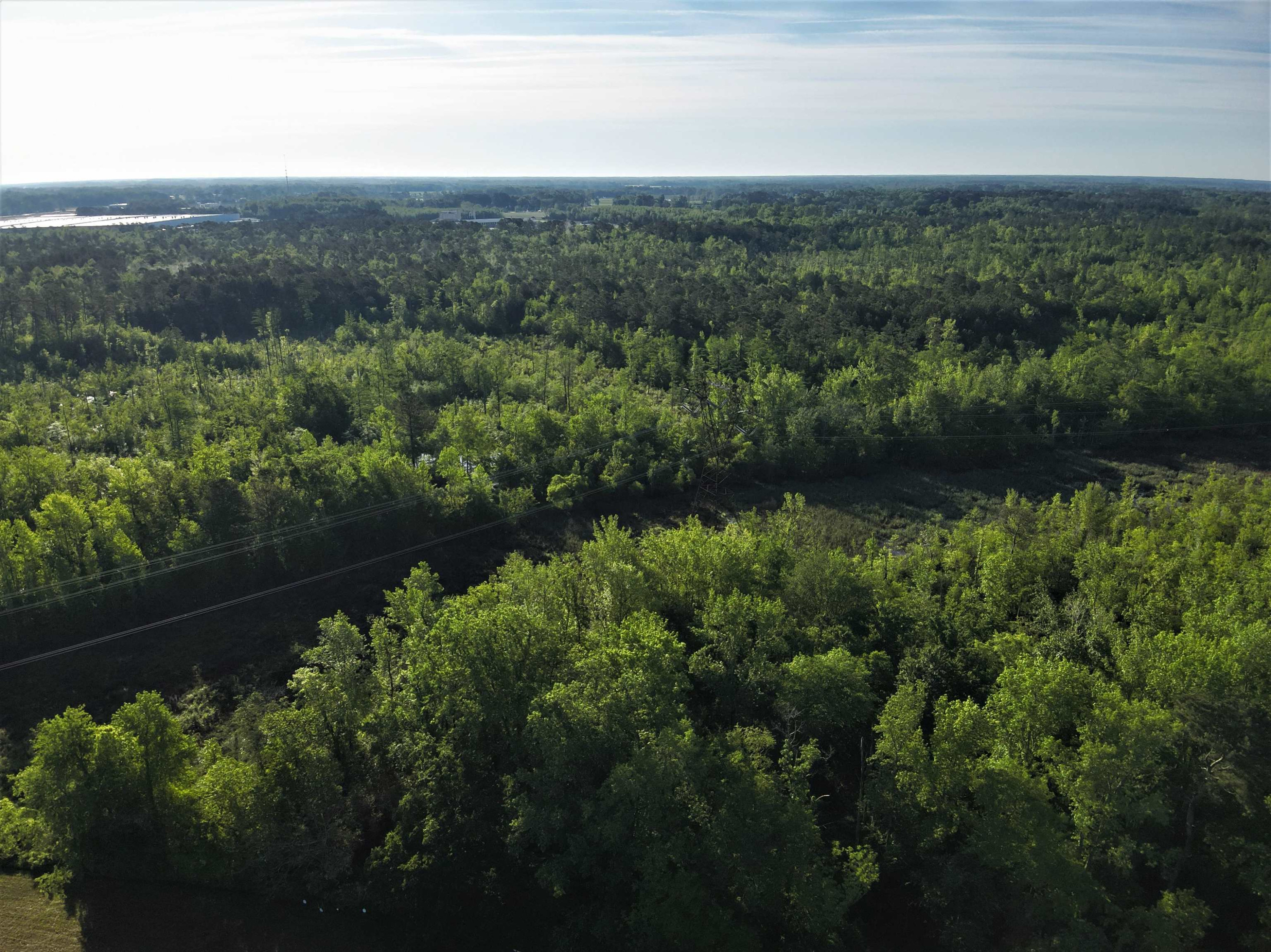 0 Arrowhead Road Dunn, NC 28334 - Photo 5 of 44 Photo 5