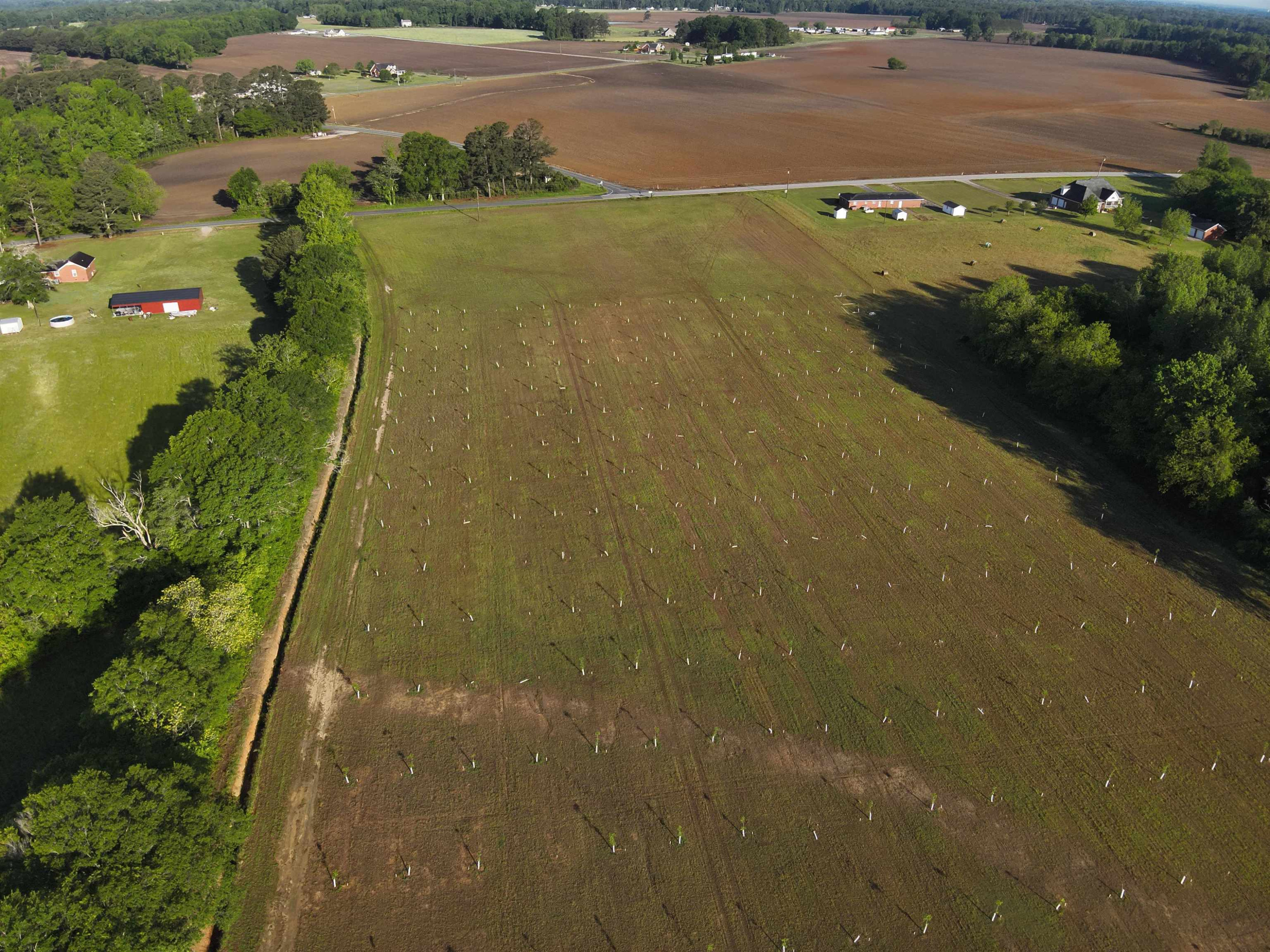 0 Arrowhead Road Dunn, NC 28334 - Photo 6 of 44 Photo 6