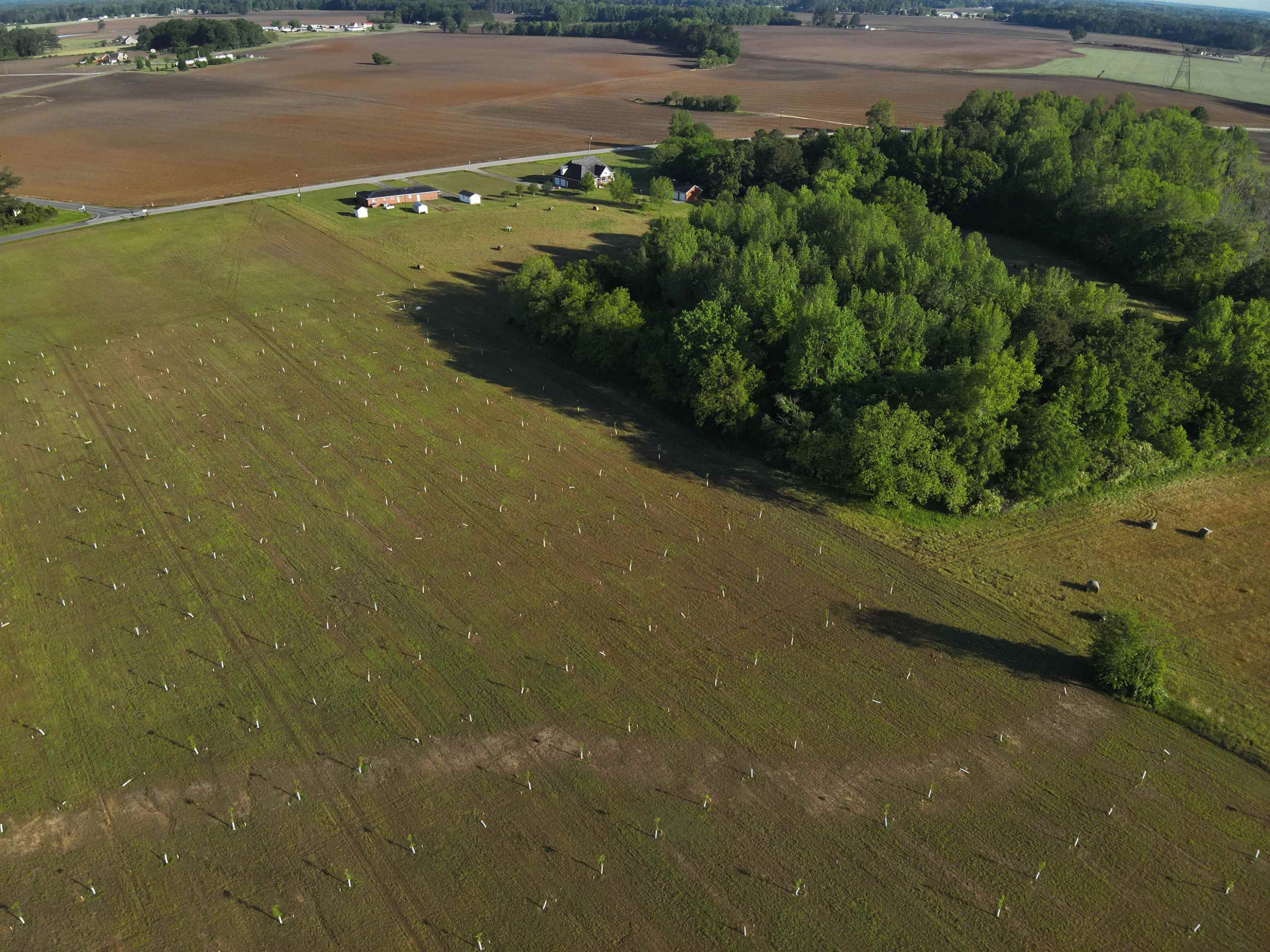 0 Arrowhead Road Dunn, NC 28334 - Photo 7 of 44 Photo 7