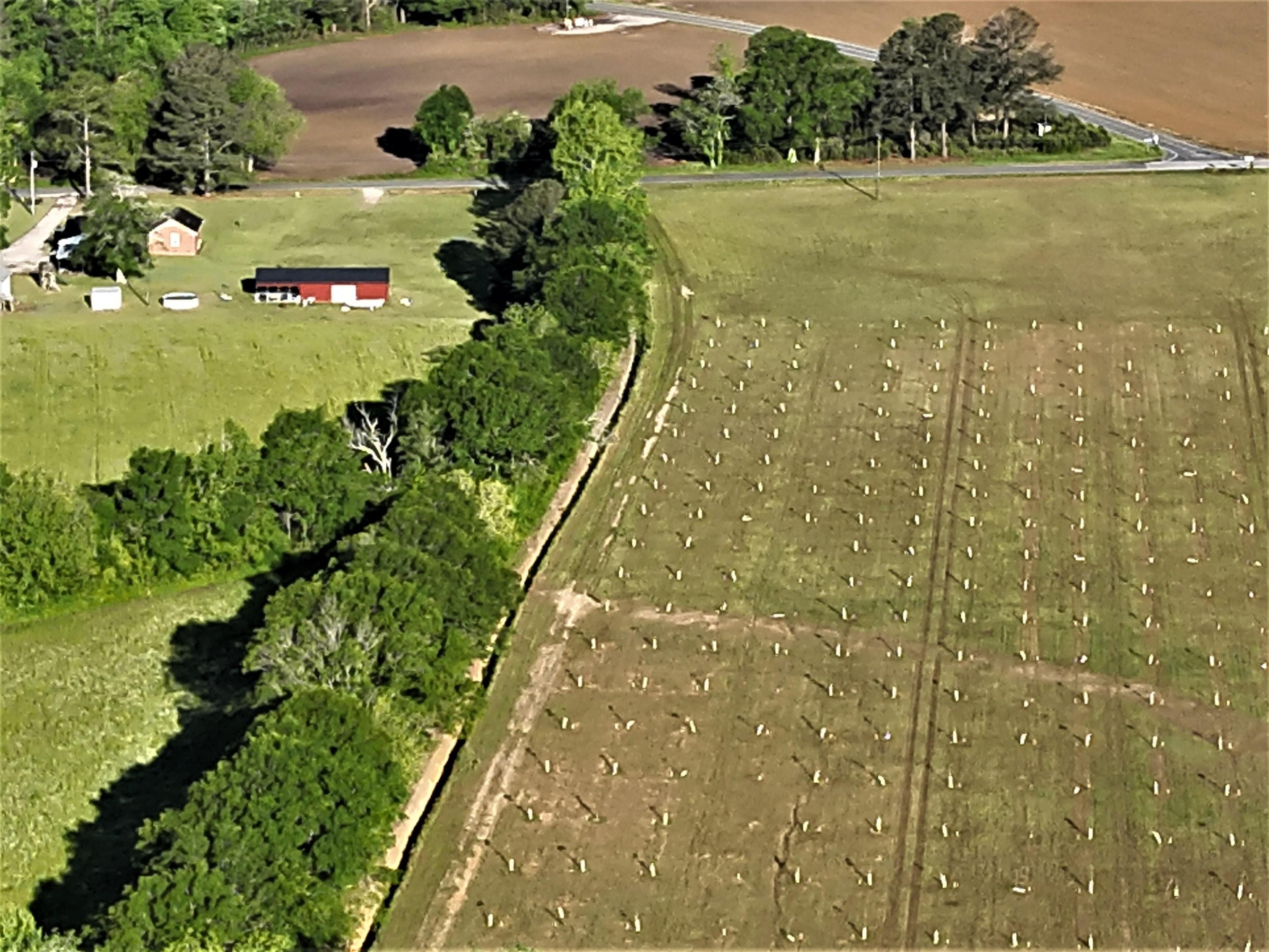 0 Arrowhead Road Dunn, NC 28334 - Photo 8 of 44 Photo 8