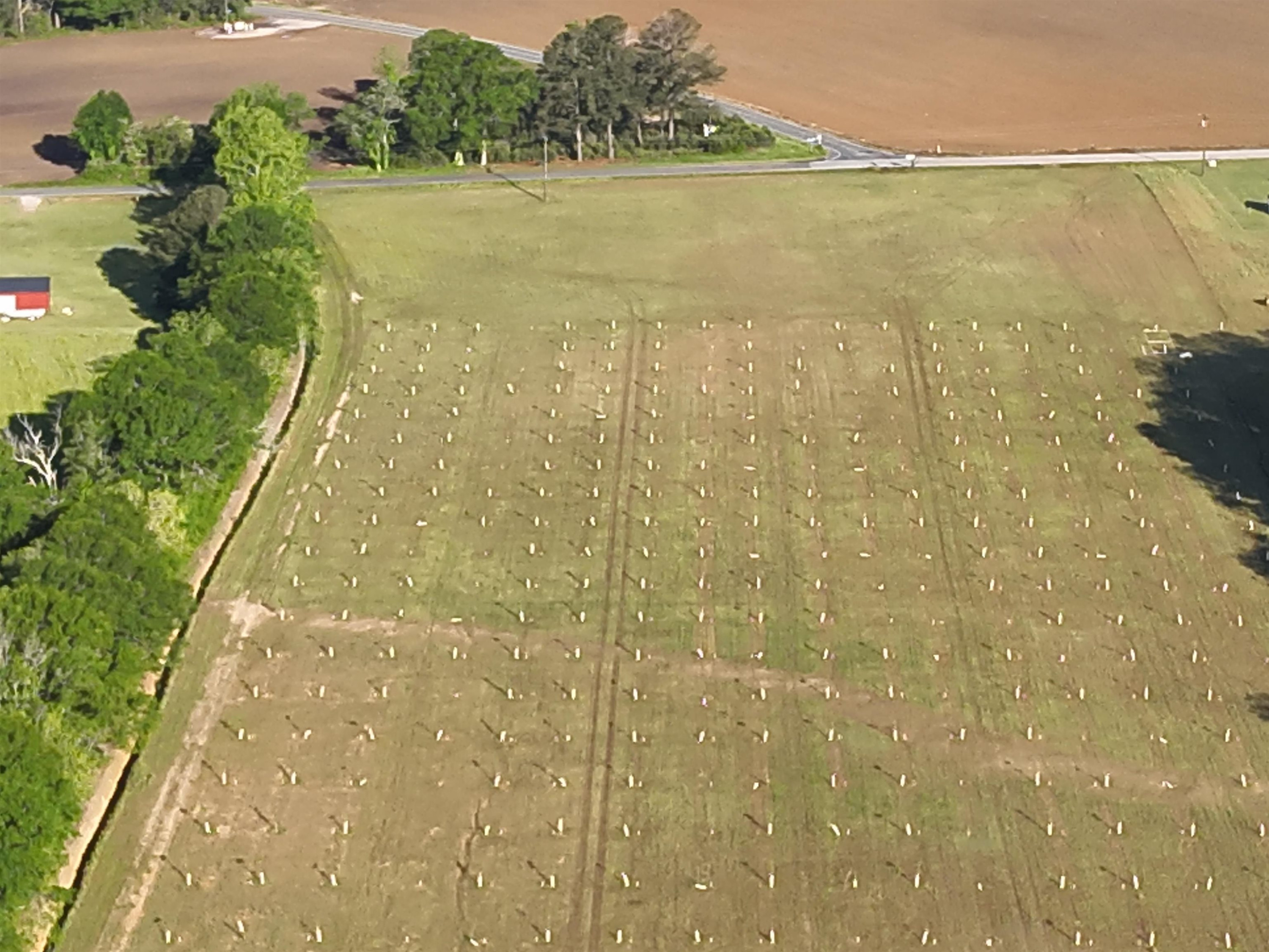 0 Arrowhead Road Dunn, NC 28334 - Photo 9 of 44 Photo 9