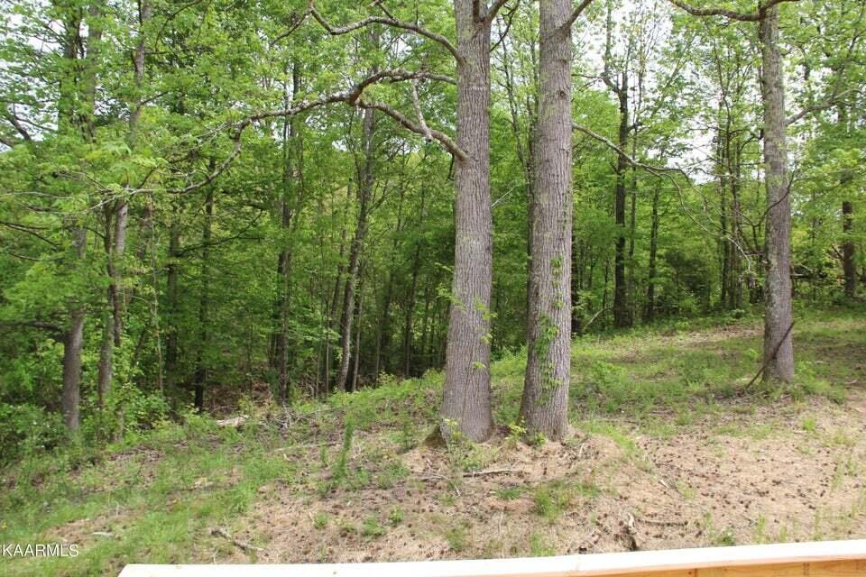 348 County Road 188 Decatur, TN 37322 - Photo 20 of 22 20