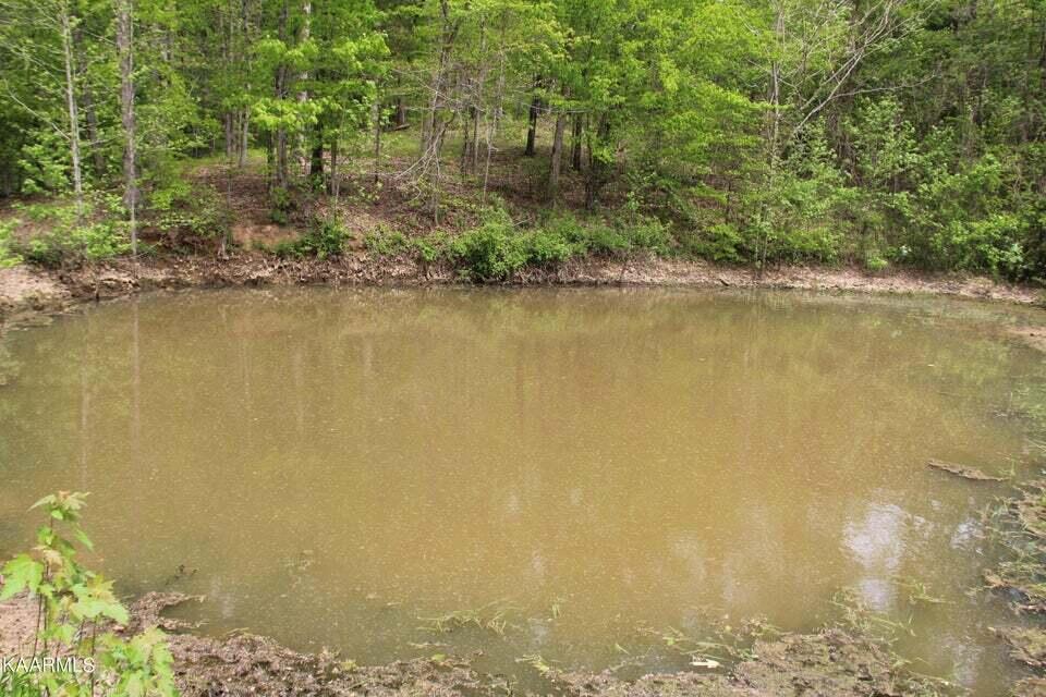 348 County Road 188 Decatur, TN 37322 - Photo 3 of 22 3