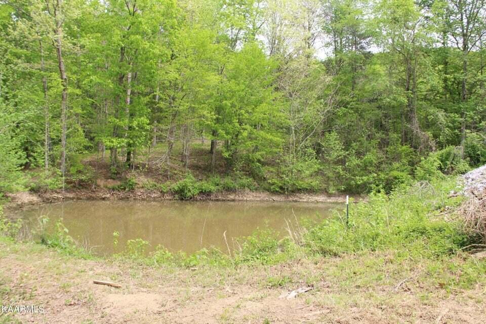 348 County Road 188 Decatur, TN 37322 - Photo 5 of 22 5