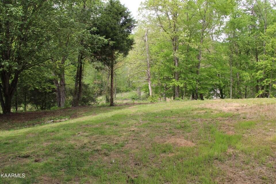 348 County Road 188 Decatur, TN 37322 - Photo 6 of 22 6